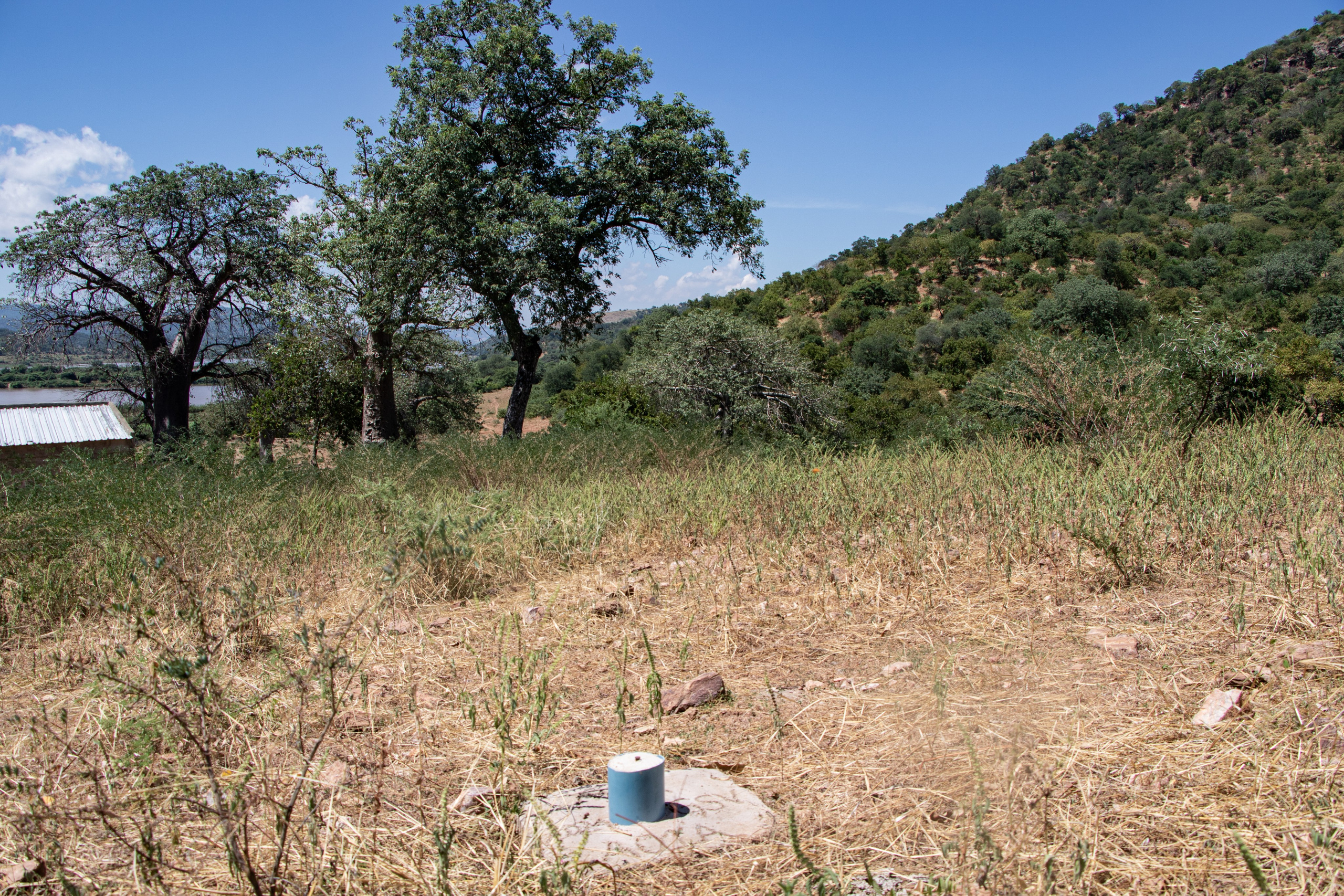 Sur cette terre encore intacte, les premières marques du projet de barrage de Mphanda Nkuwa apparaissent. 