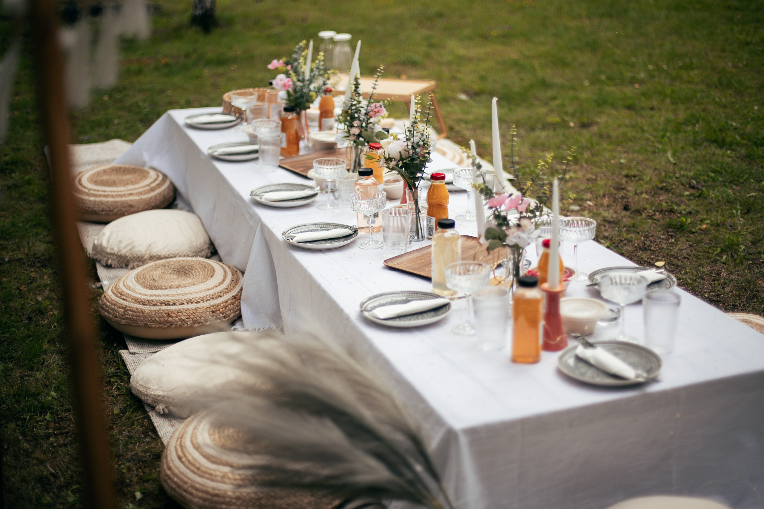 Пикник с девчонками. Главная