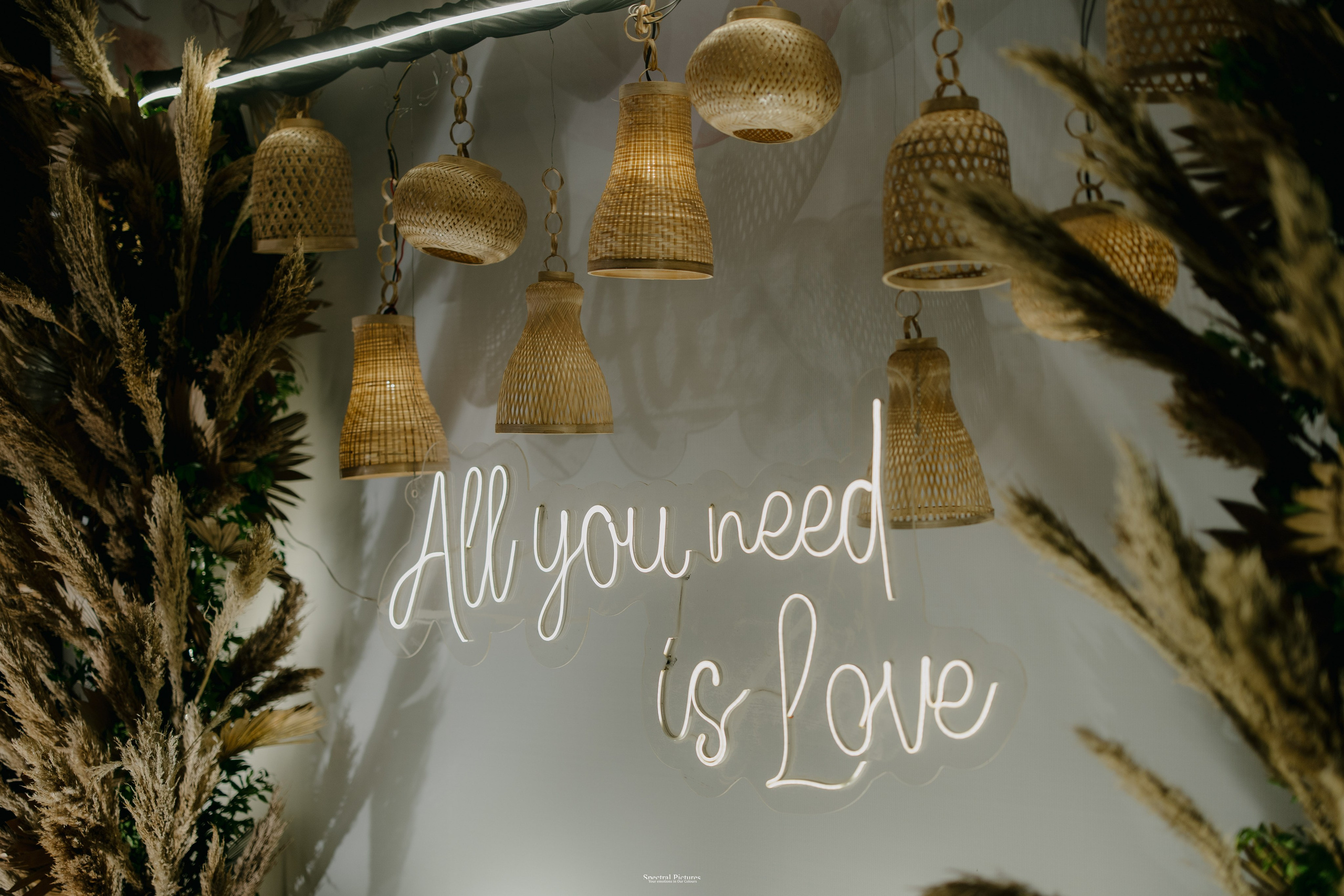 Tejas & Roopa | A Degree in Love, Certified by Marriage