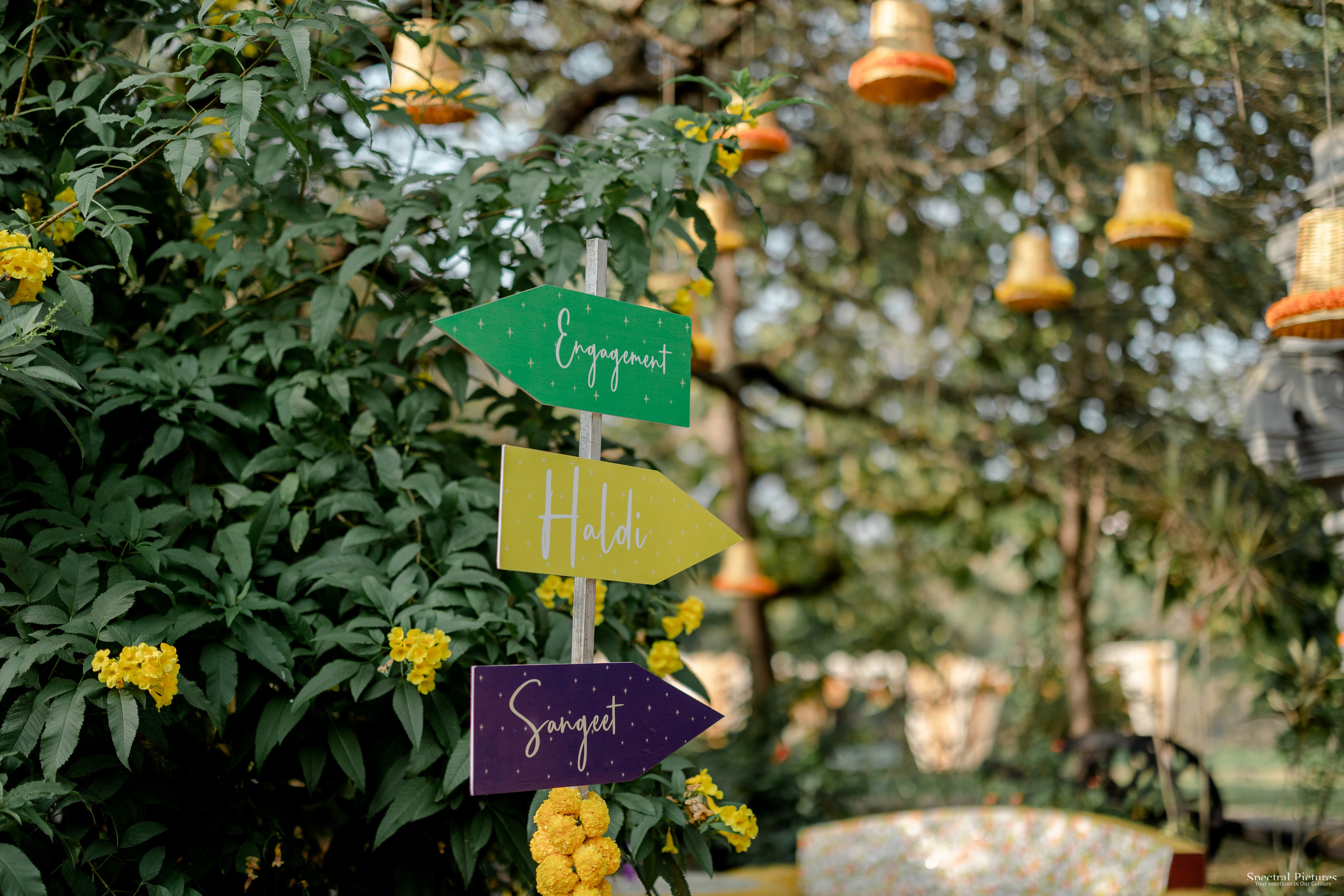 “Shivani & Ashish | A Love Meant to Be”