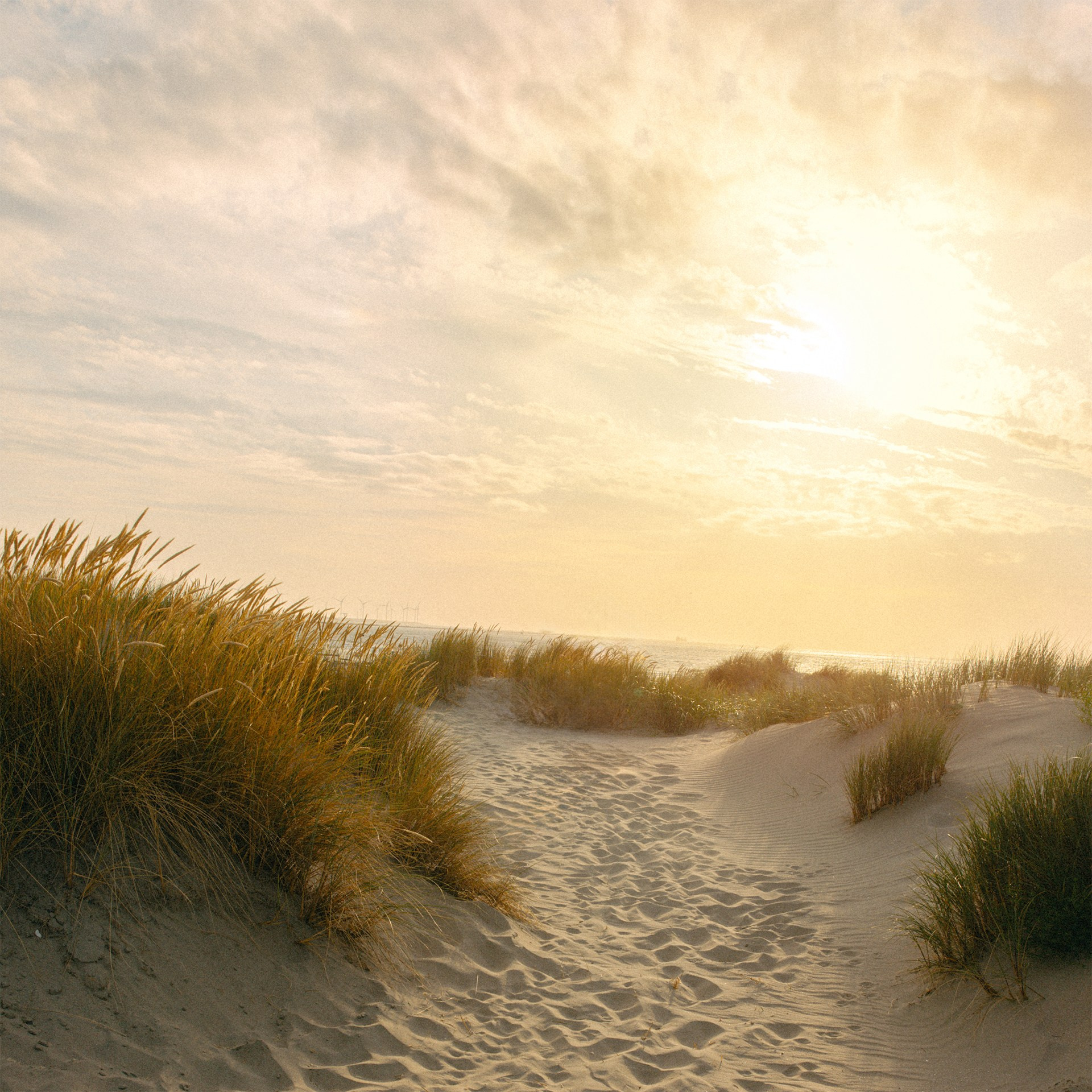 Event & Reportage Photographer Rotterdam | Natalia Olhova. Romantic & Soulful Photography by Natalia Olhova in Rotterdam