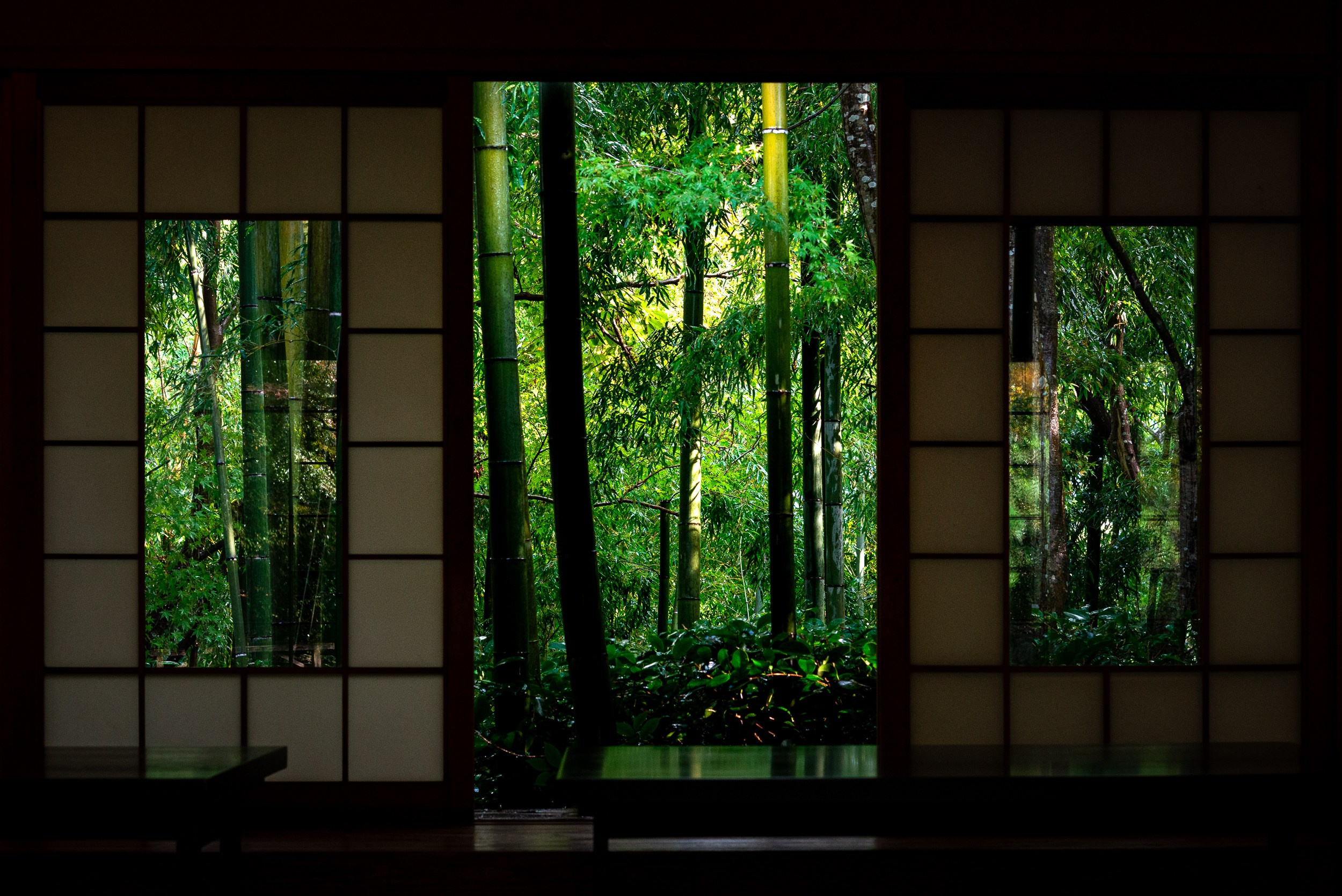 Japan. Marius Ciocan