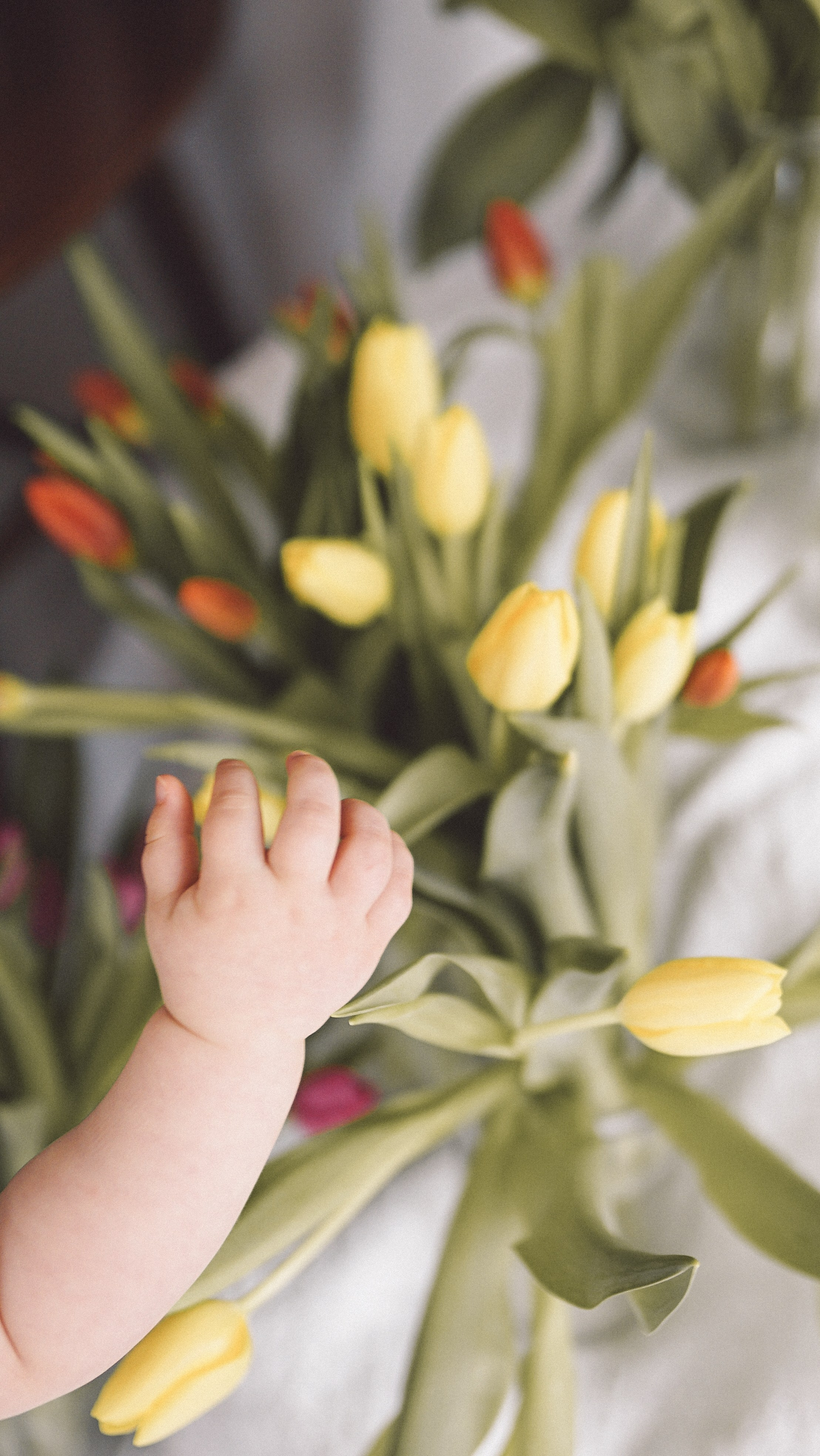 Ședințe Foto Primăvara Colorată Brașov | Mădălina Beda. Madalina Beda- Artist vizual, fotograf, doula la nastere, consultant babywearing Brasov si in toata tara