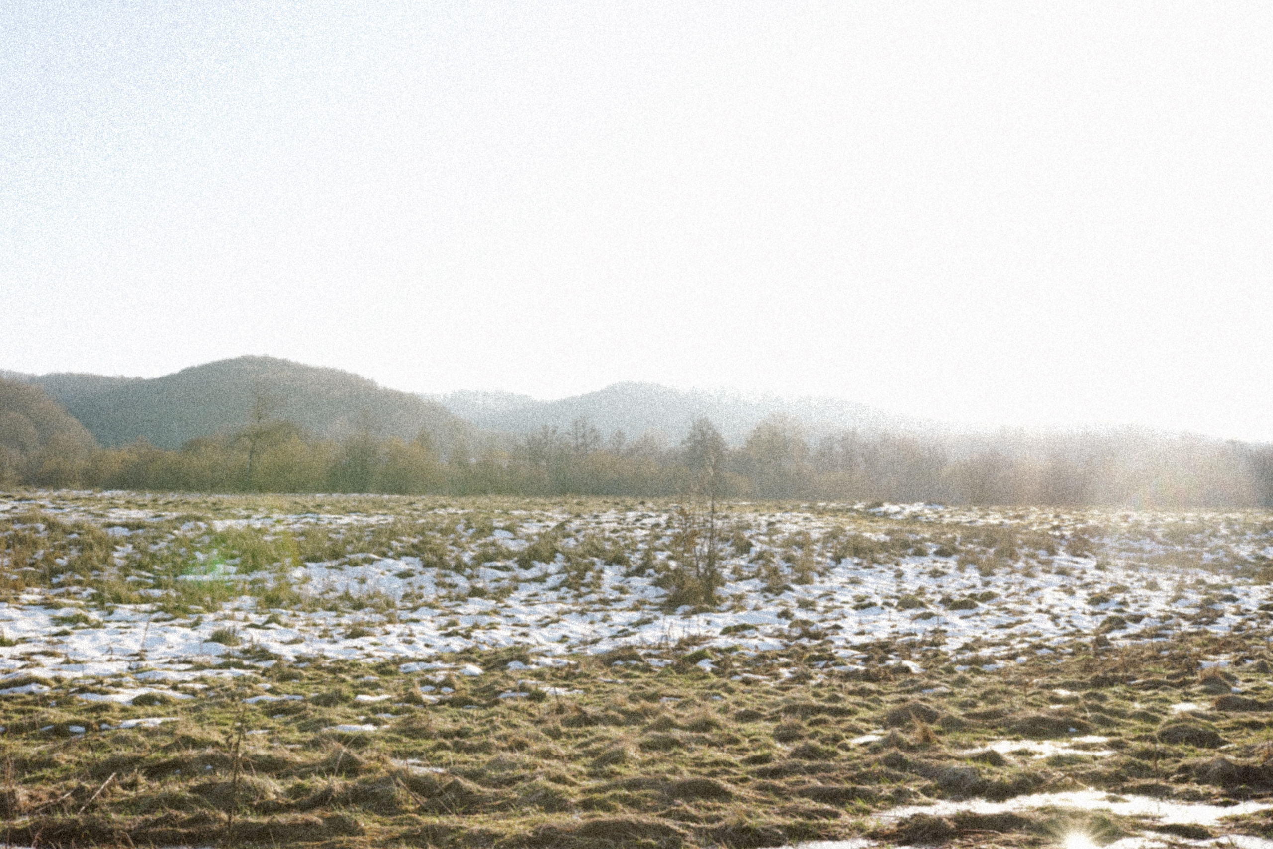 Mărțișorul x Mes Amis: O Poveste de Primăvară | Mădălina Beda. Madalina Beda- Artist vizual, fotograf, doula la nastere, consultant babywearing Brasov si in toata tara