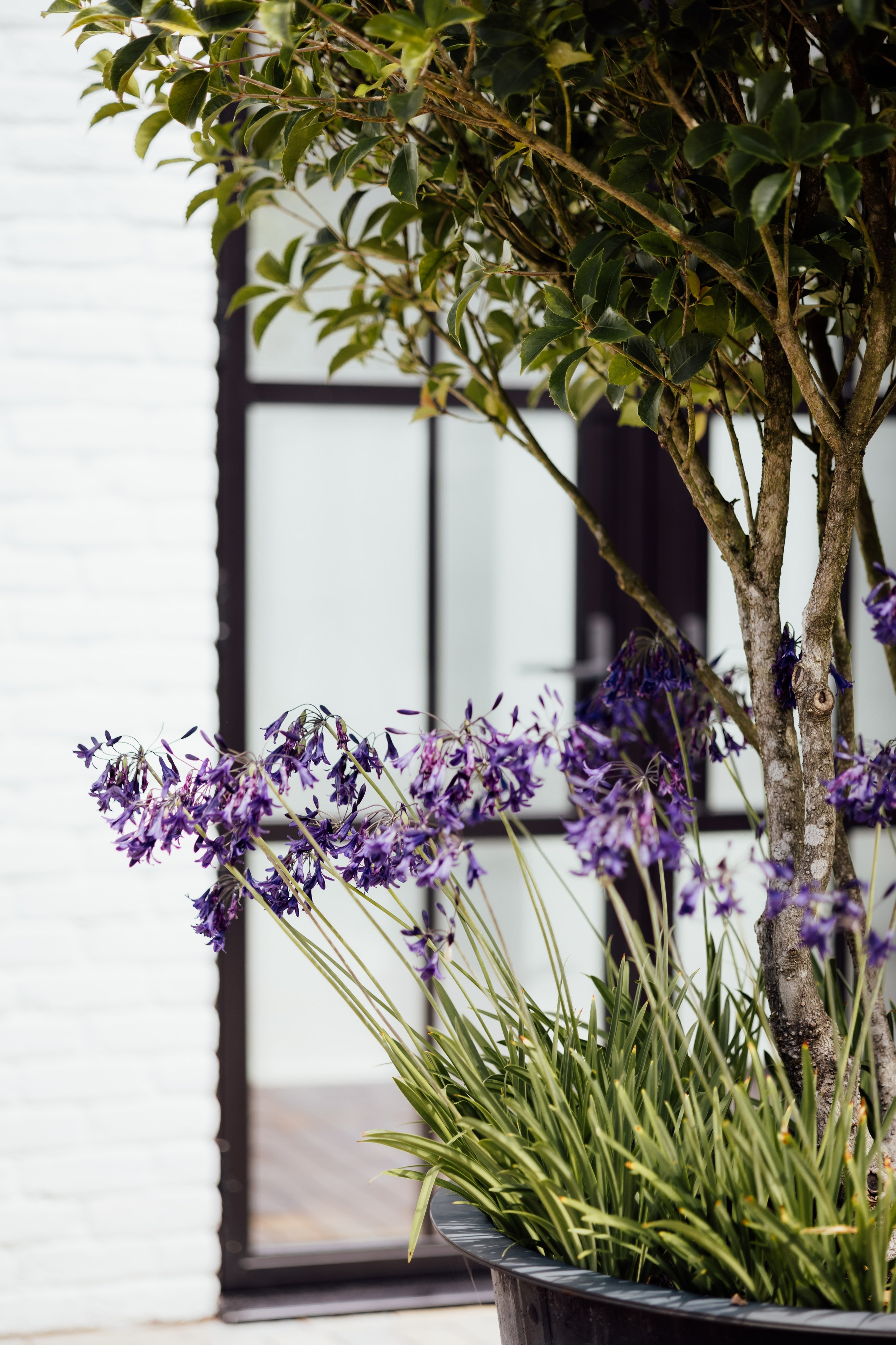 Limekiln, East Sussex, UK. 2025. Timeless Wedding & Event Photography — based London, working across Europe