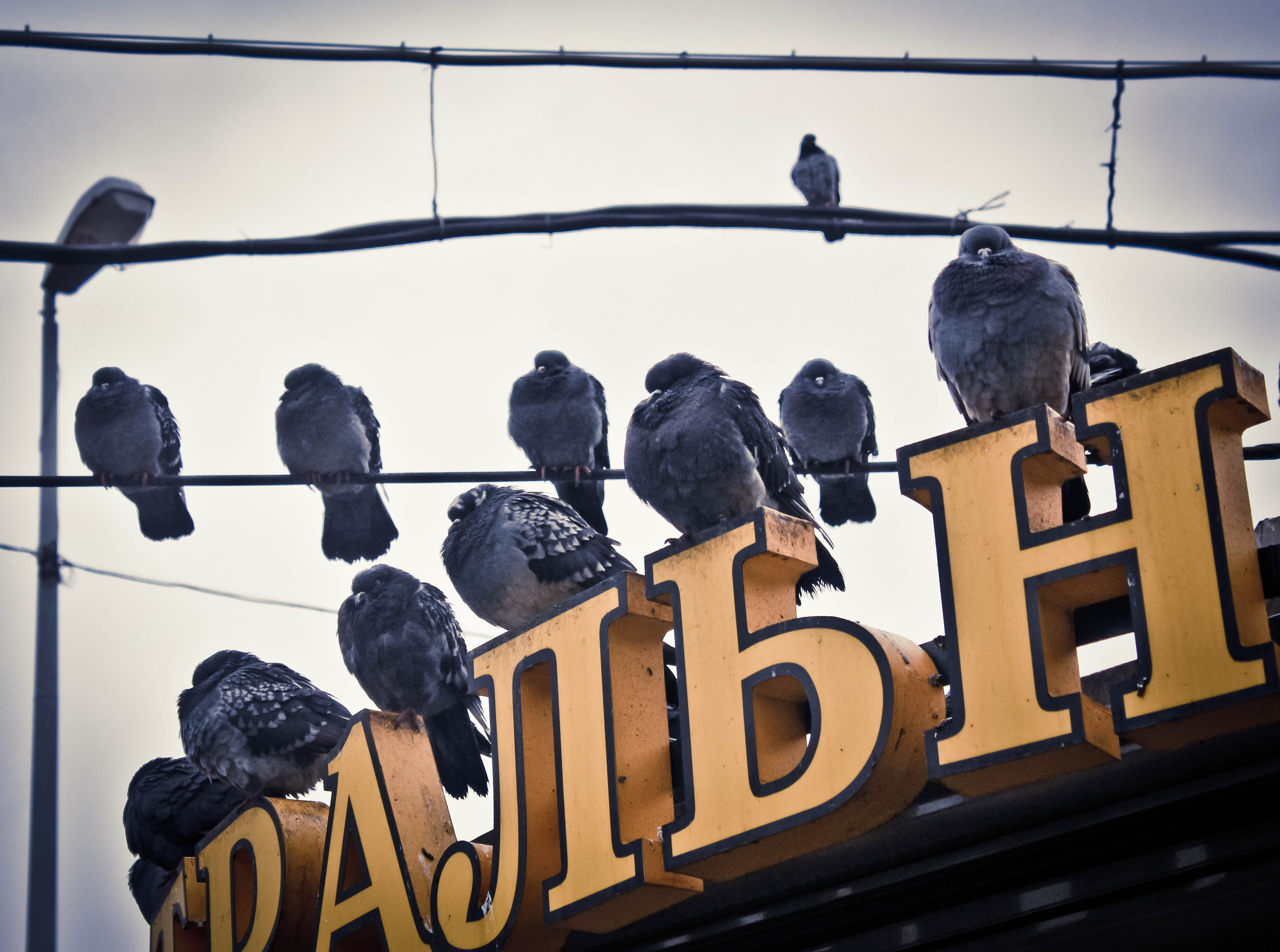 2011. Стрит-фотография, полная абсурда, идиотизма и красоты