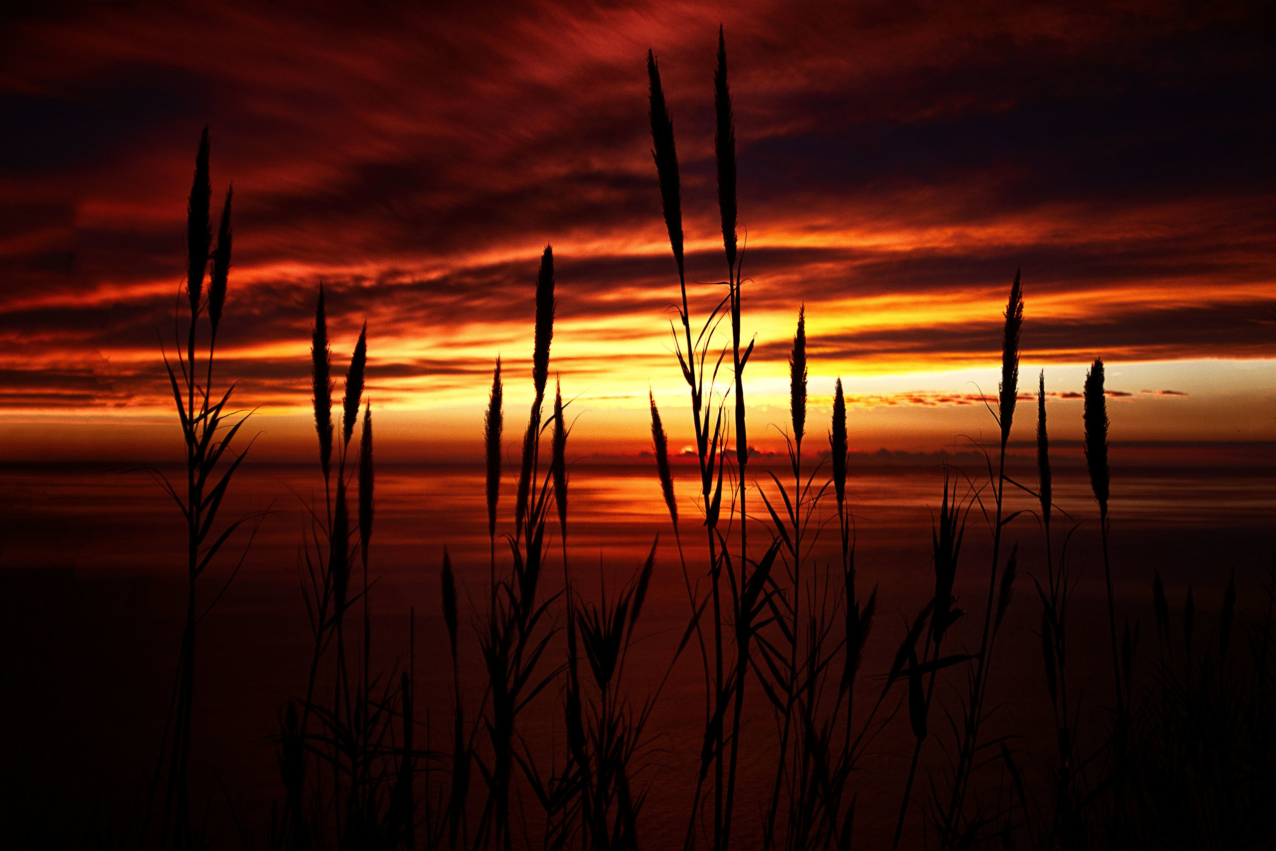 My travels. Alexandra Grevtseva — Art-photographer in Germany