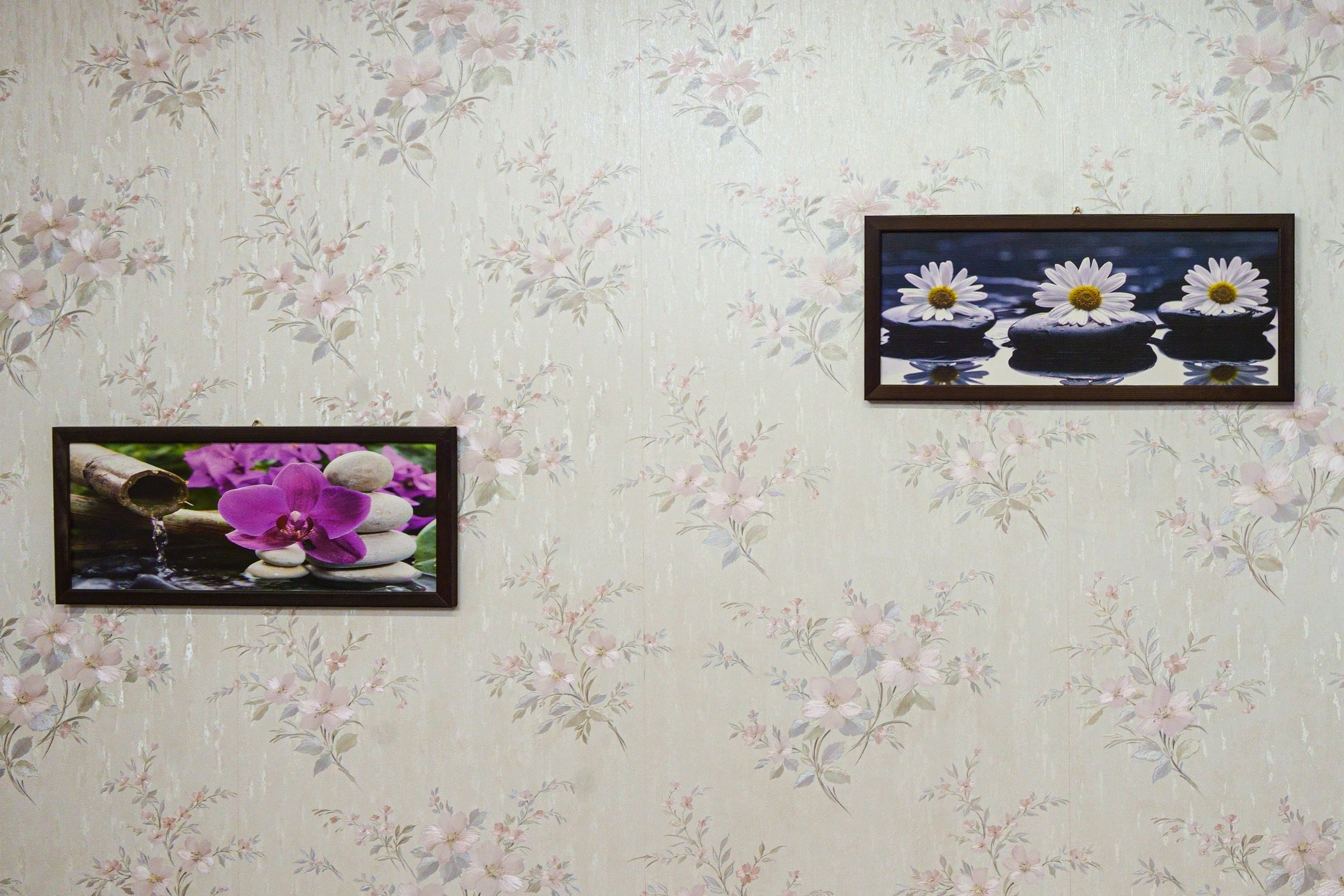 Vydūno g. 27. Elina Sapiega fotografė Vilniuje