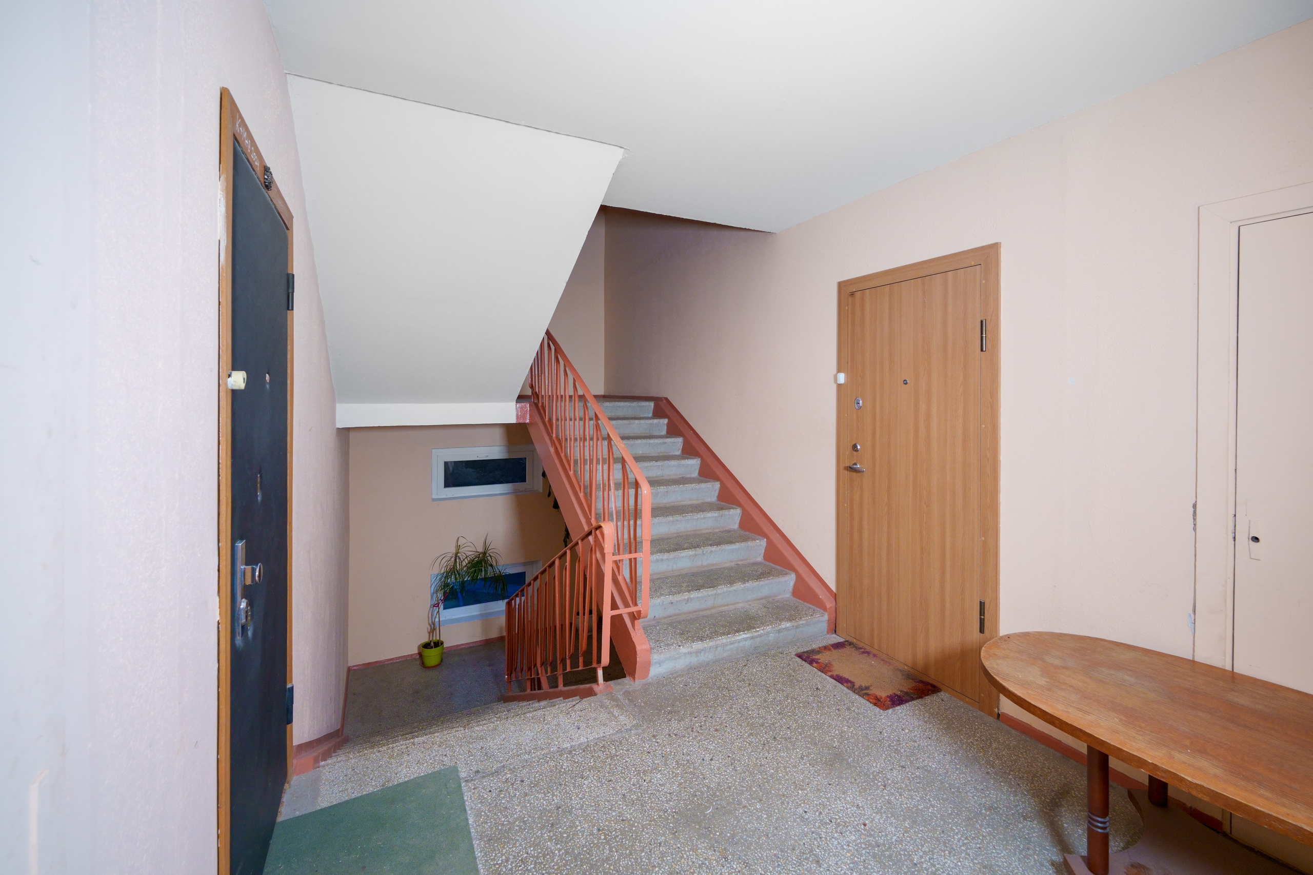 Stanevičiaus g. 82. Elina Sapiega fotografė Vilniuje