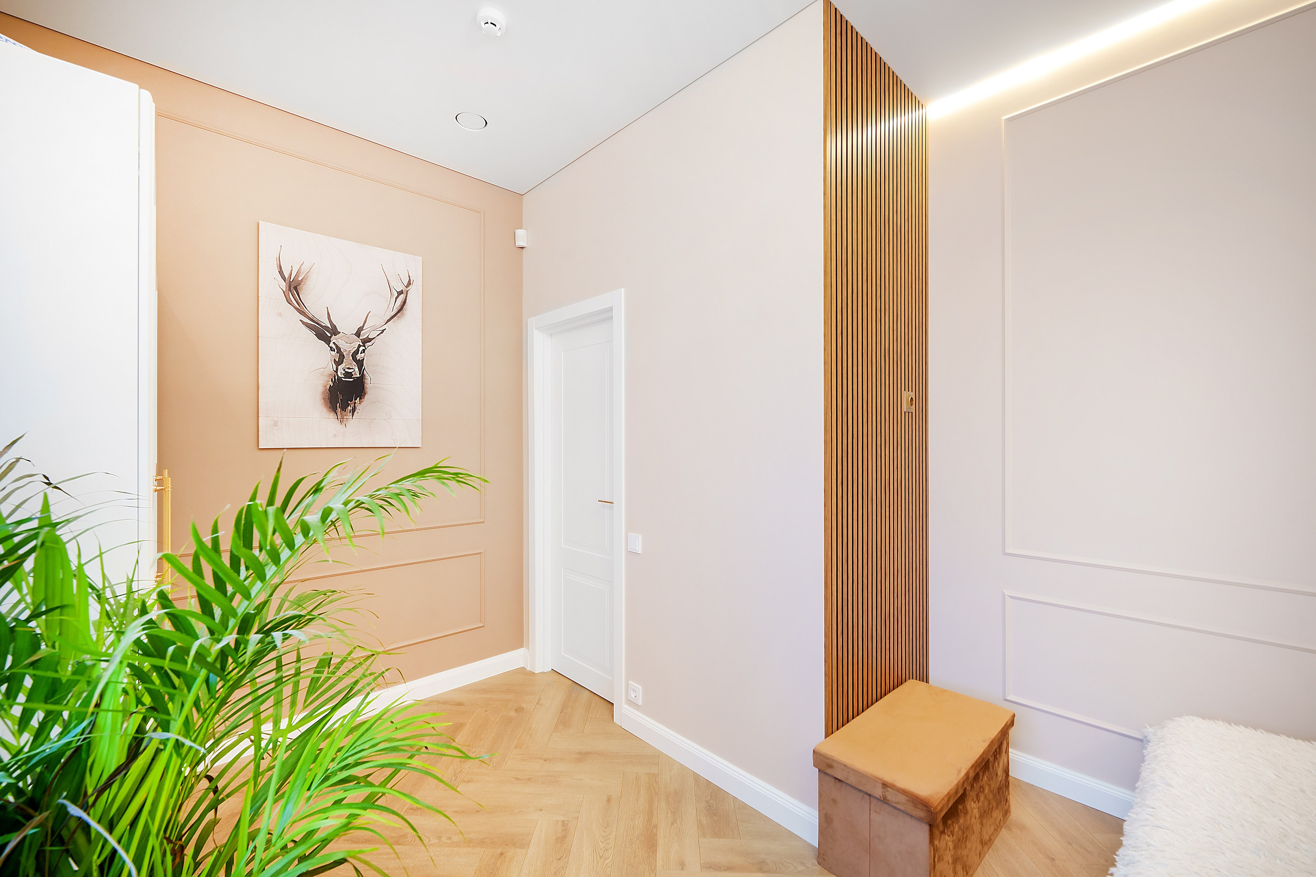 Gražus namas, Vilnius. Elina Sapiega fotografė Vilniuje