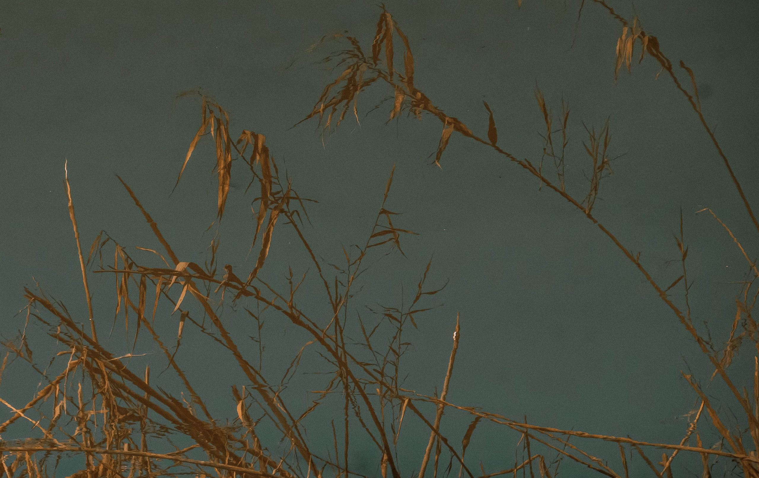 Rojales. Alba del Norte Studio