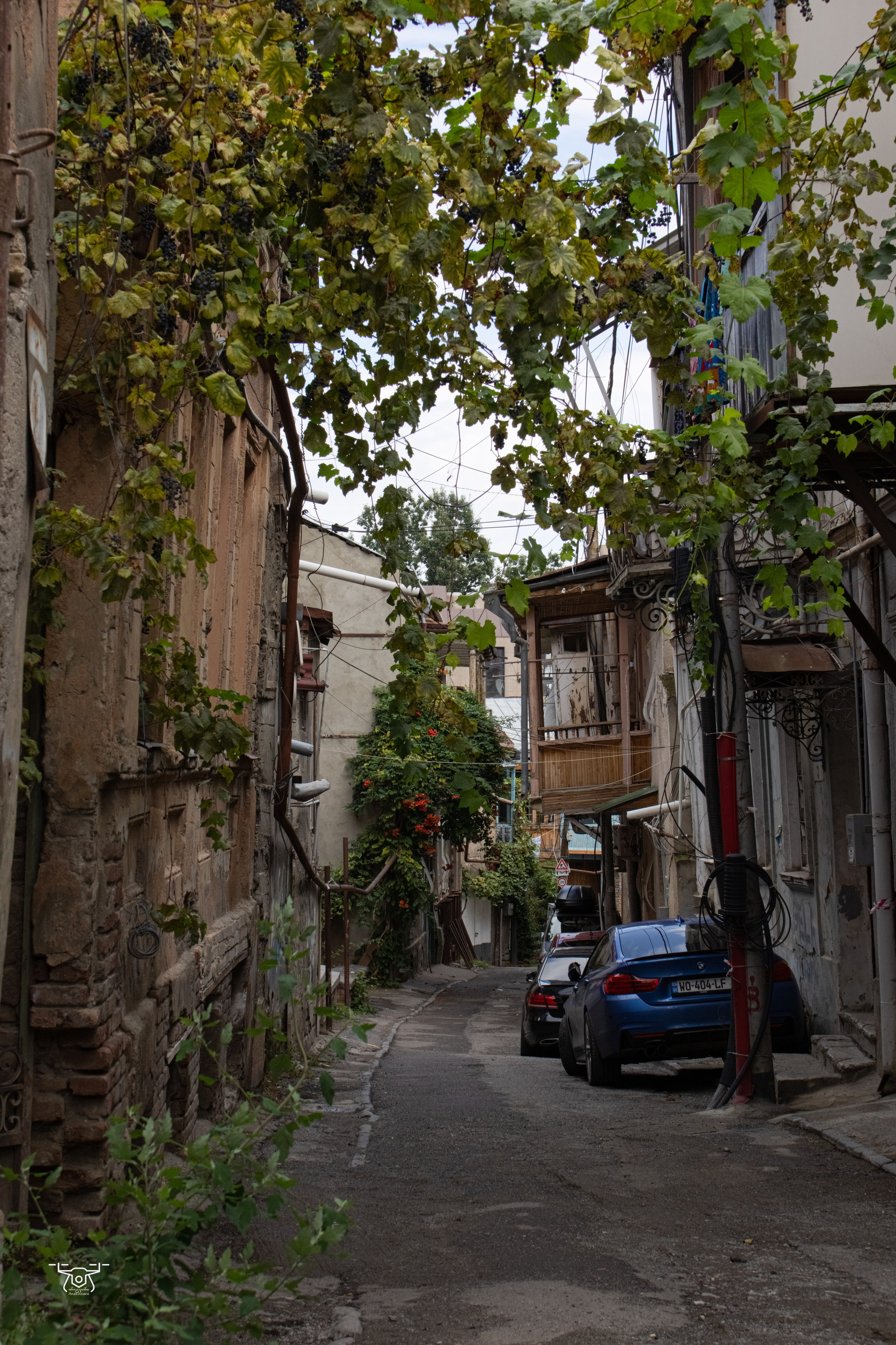 ქალაქი და ადამიანი. FramefreeMan