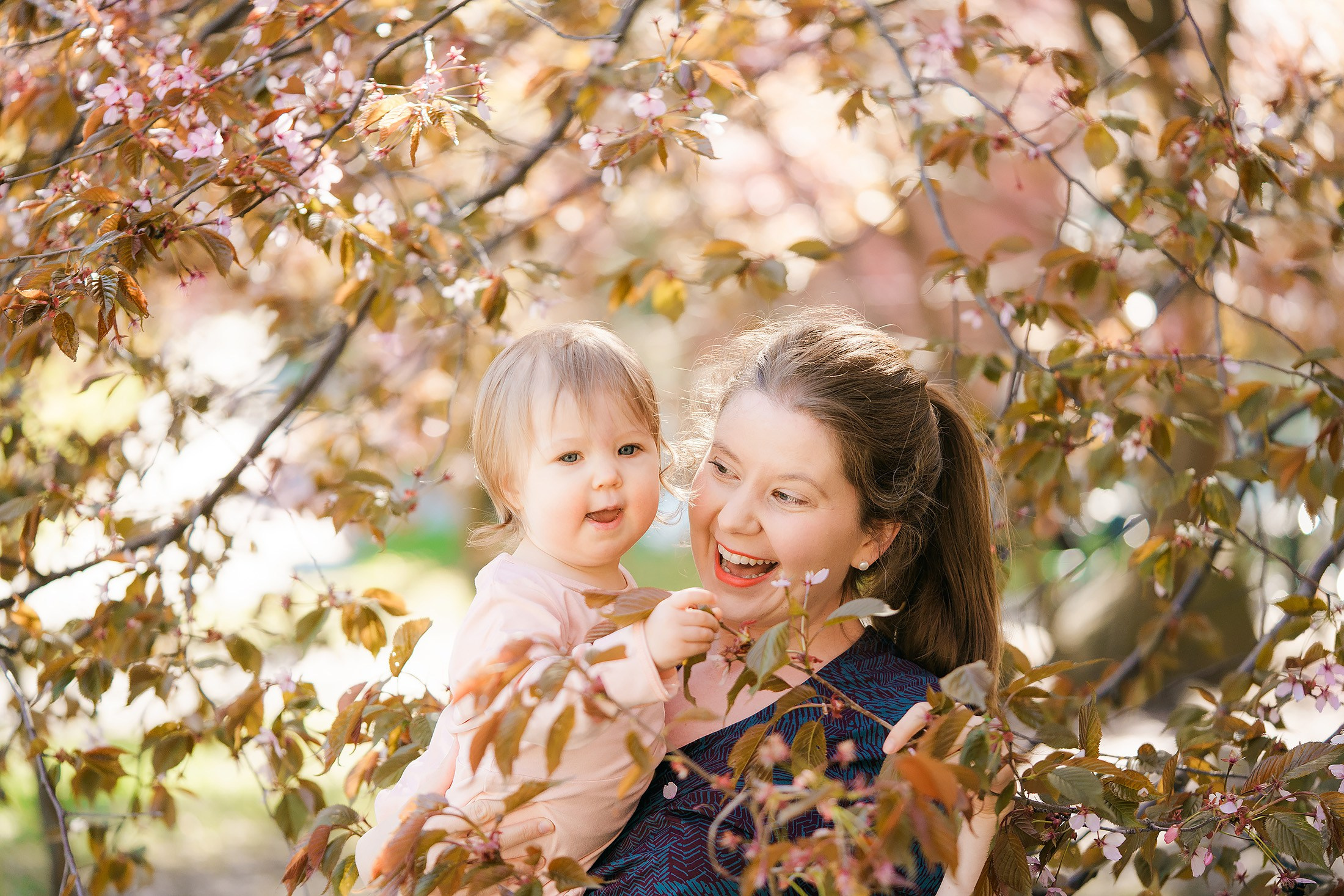 Kevään 2026 minikuvaukset (kirsikka- ja rodopuitossa, sekä omenatarhassa)