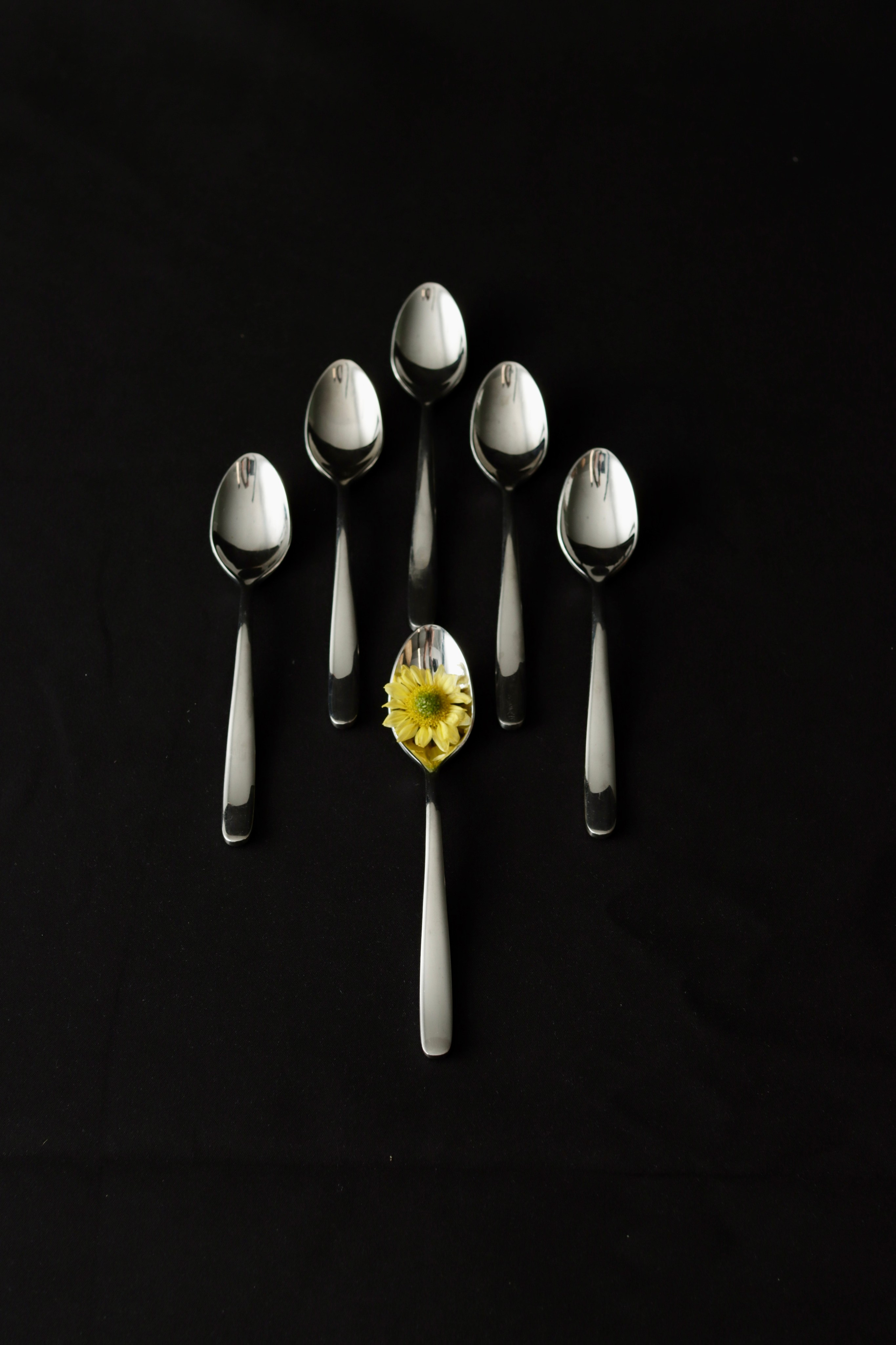 Предметная съемка. Фотограф Таня Уорд Бидефорд Пермь Эксетер Плимут Лондон