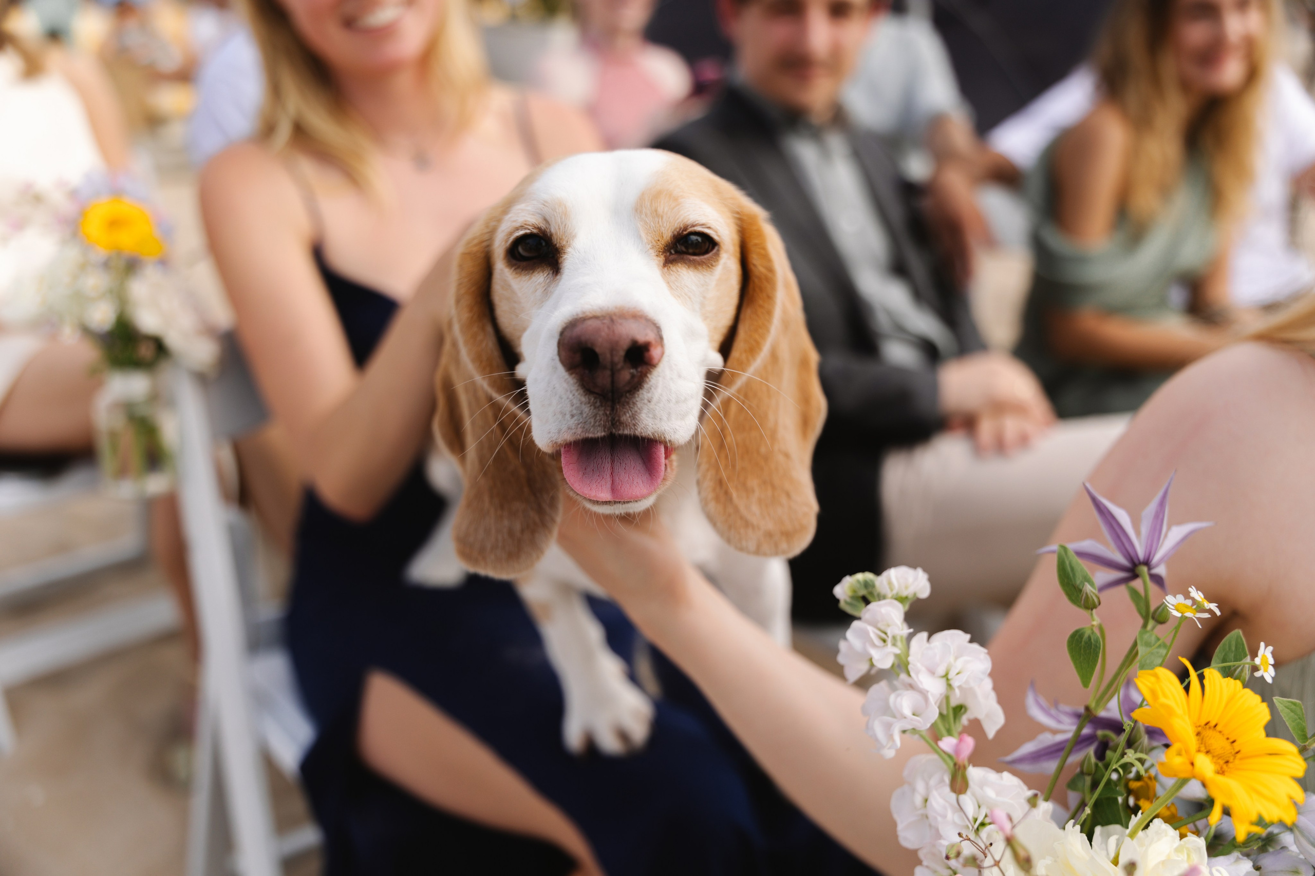 Elizaveta and Albert | Wedding at the beach. Yuliya Vaschenok — Photographer in the Netherlands