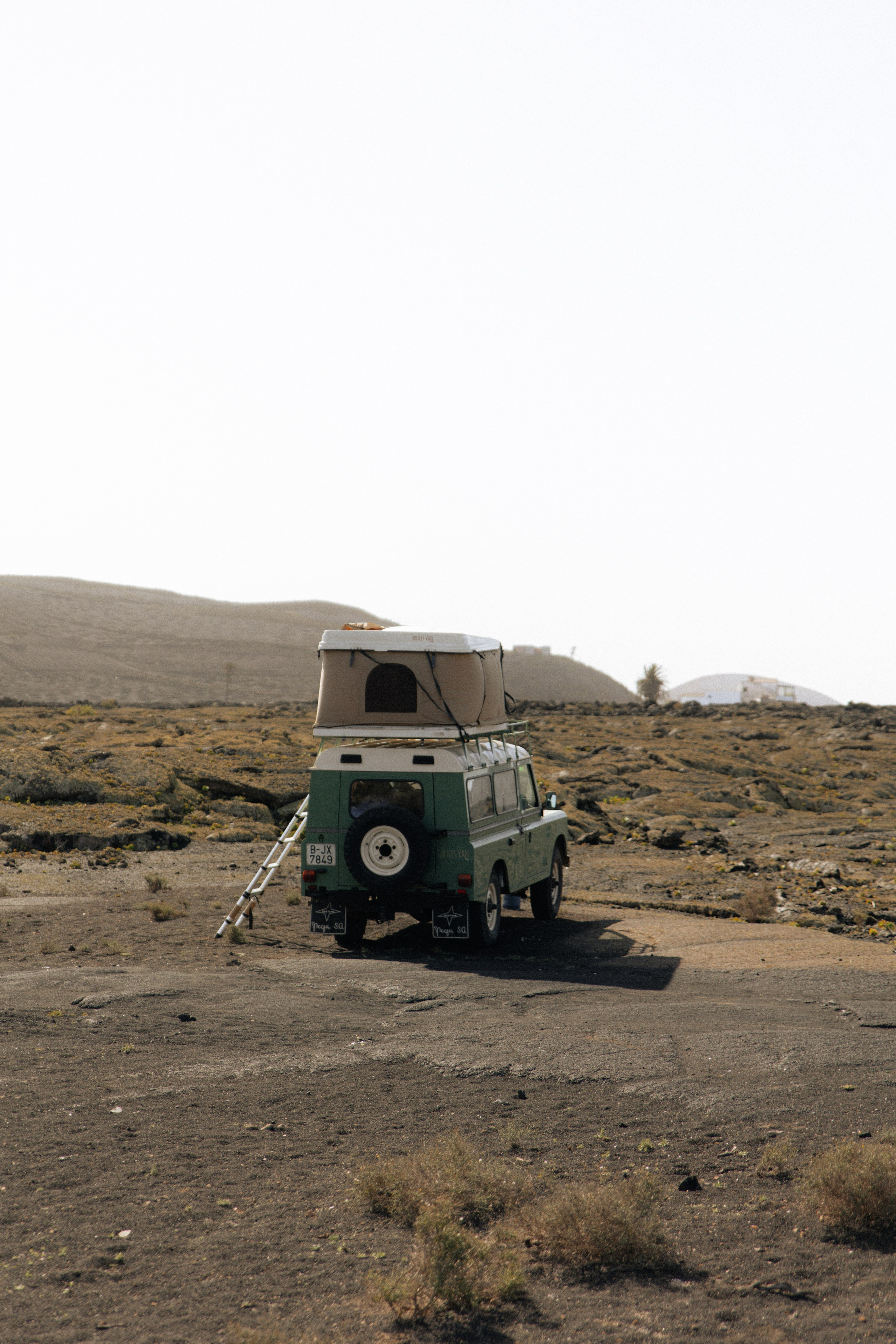 Lanzarote Turtles Van. Patricia Morenci — Mountain Adventures for the Wild at Heart