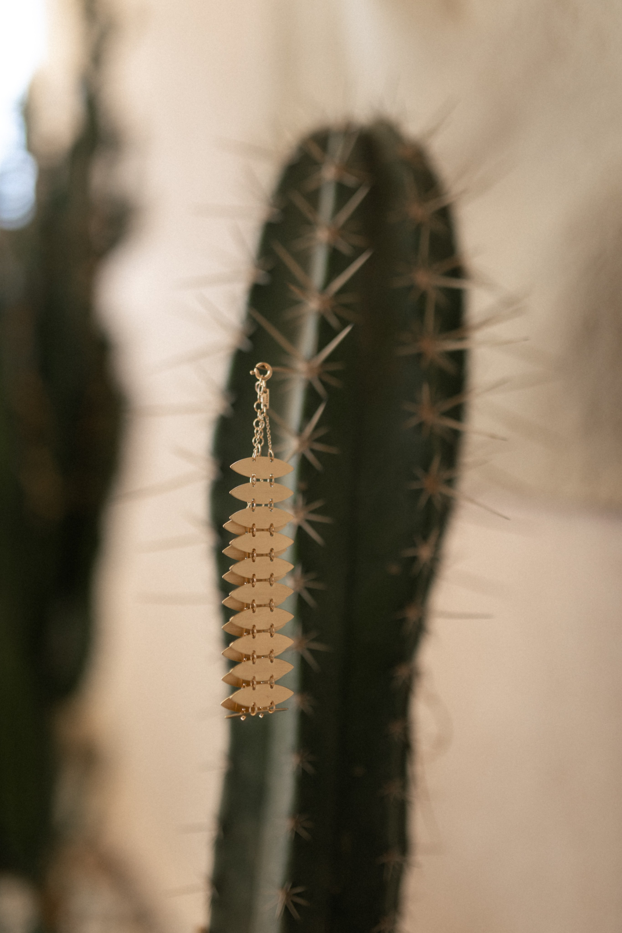 Morrocan dream. Patricia Morenci — Mountain Adventures for the Wild at Heart