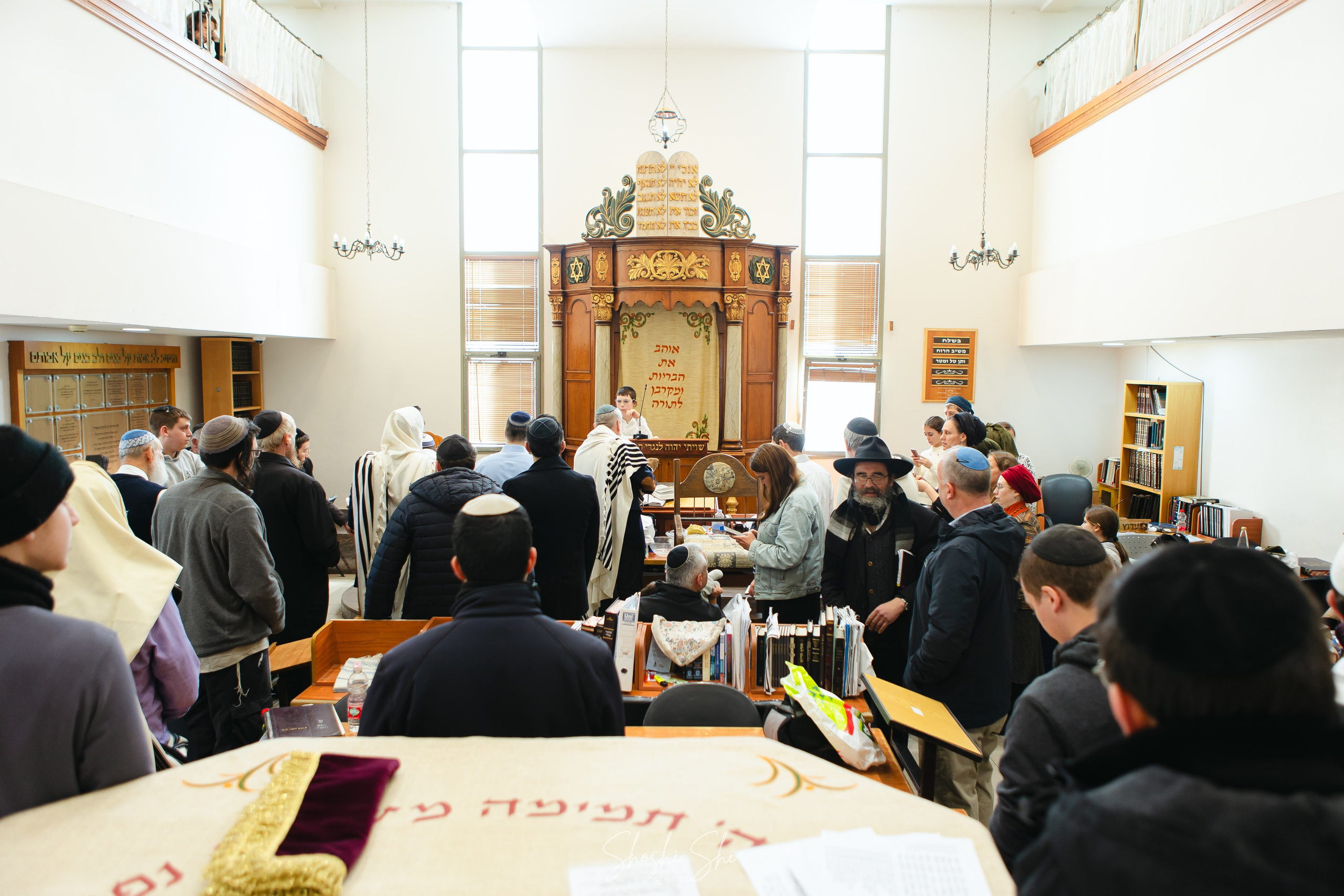 BRIT TWINS. Https://shi-photo.com/