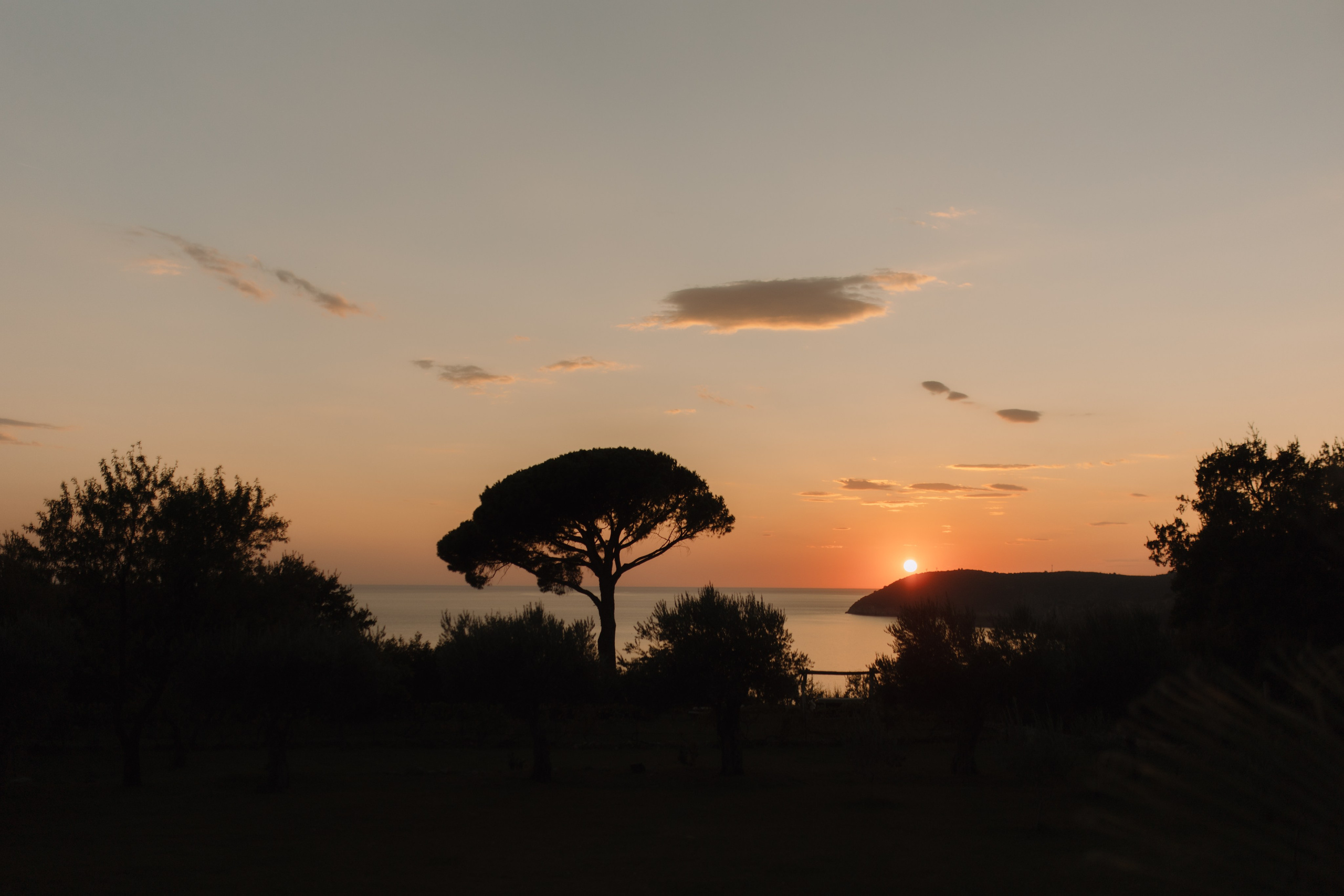 Justyna ir Paulius | 2023 | MONTENEGRO. Vestuvių ir šeimų fotografė Lena Bondarenko / belove photo