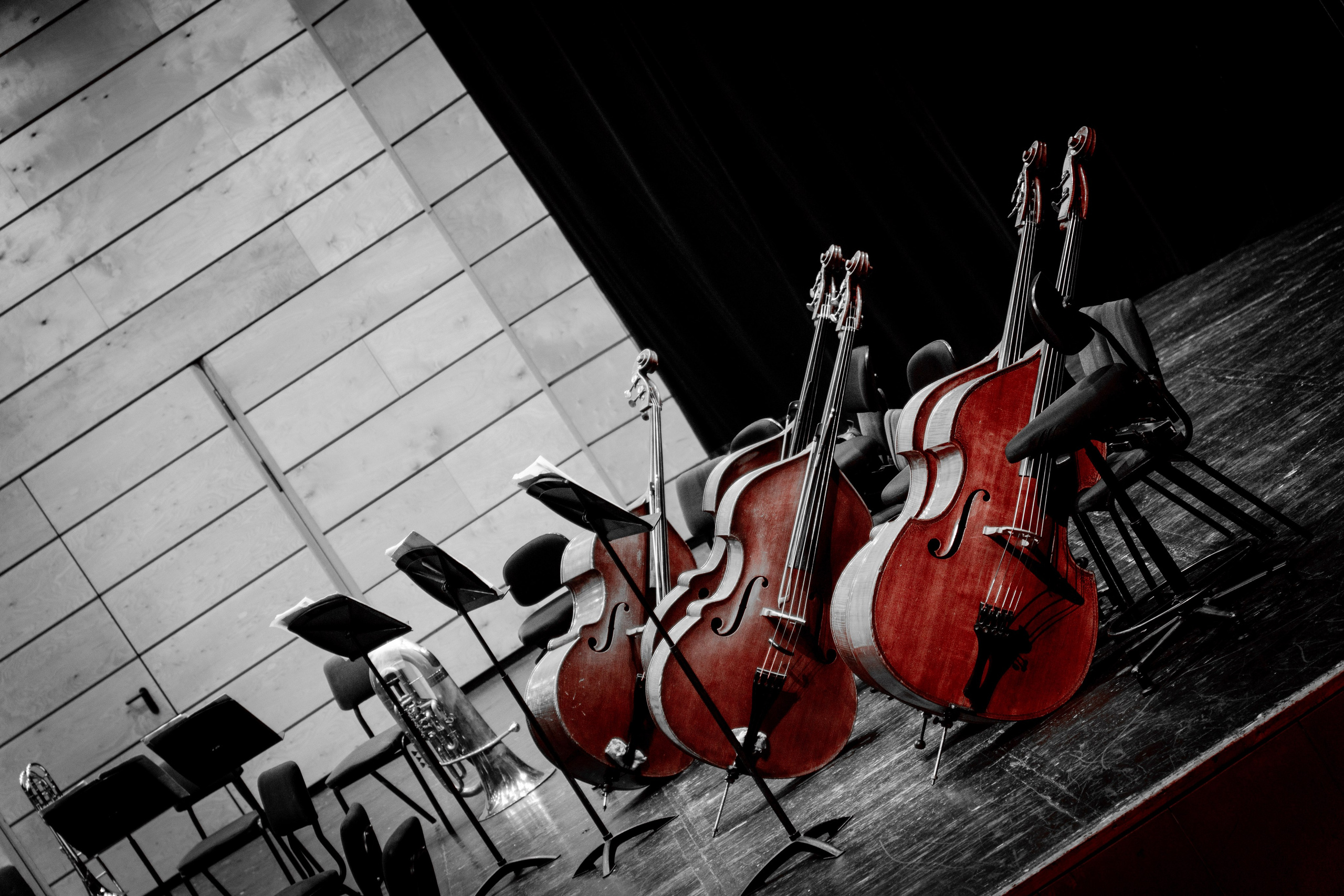 Symphony Haifa 2024. Главное меню