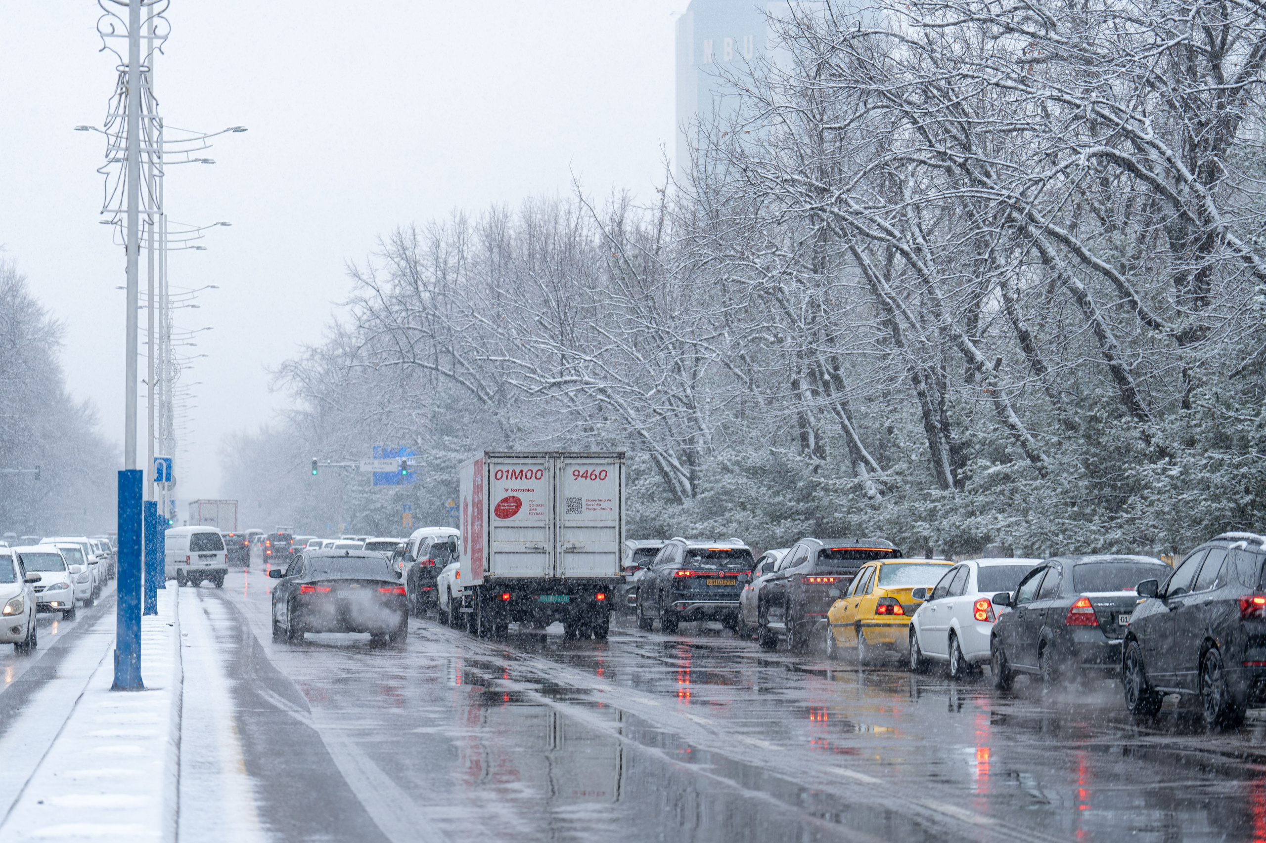 Первый снег в 2024 году. Георгий Намазов | Фотограф в Ташкенте
