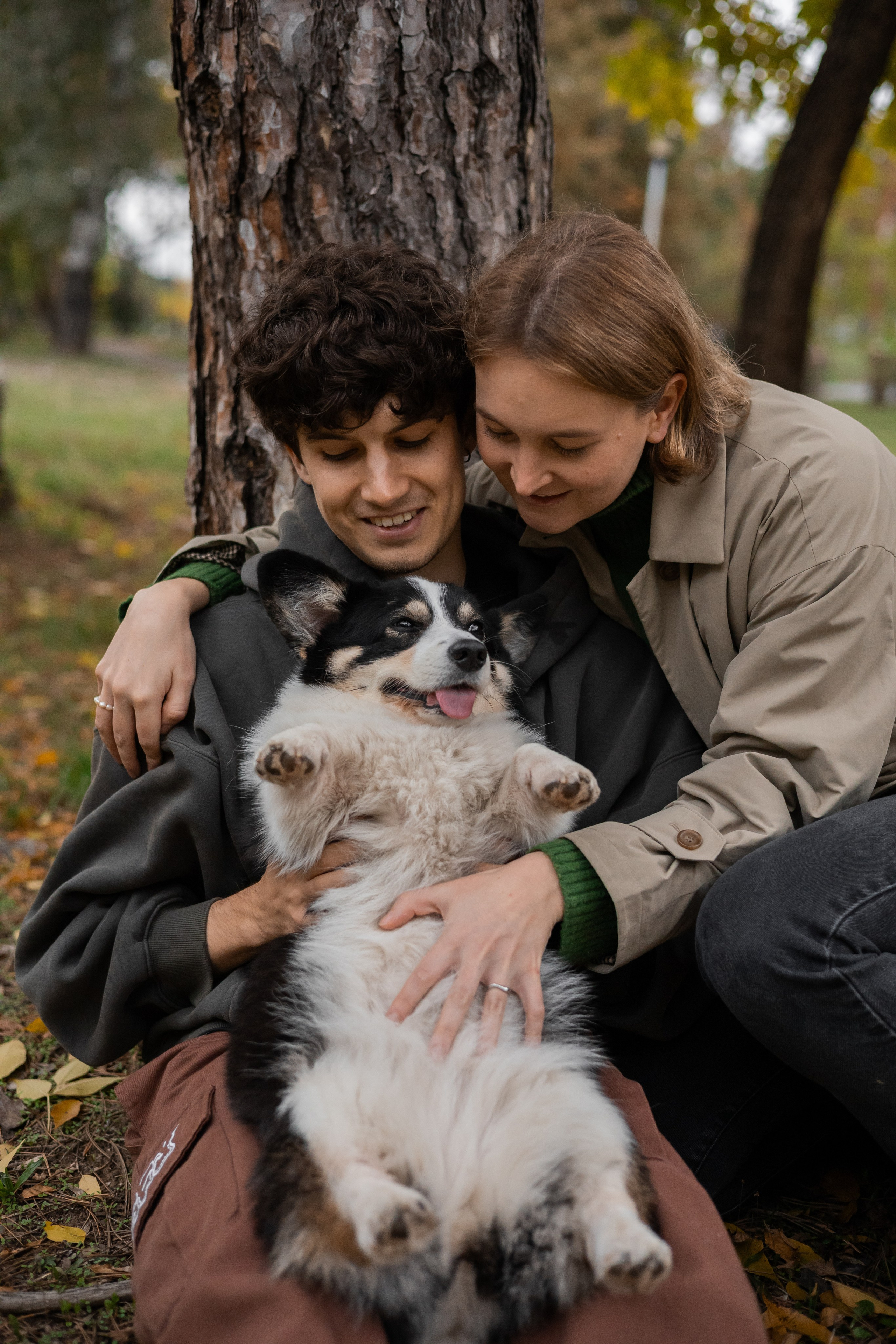 Даня, Аня и Плюша. Фотограф-анималист | Белград