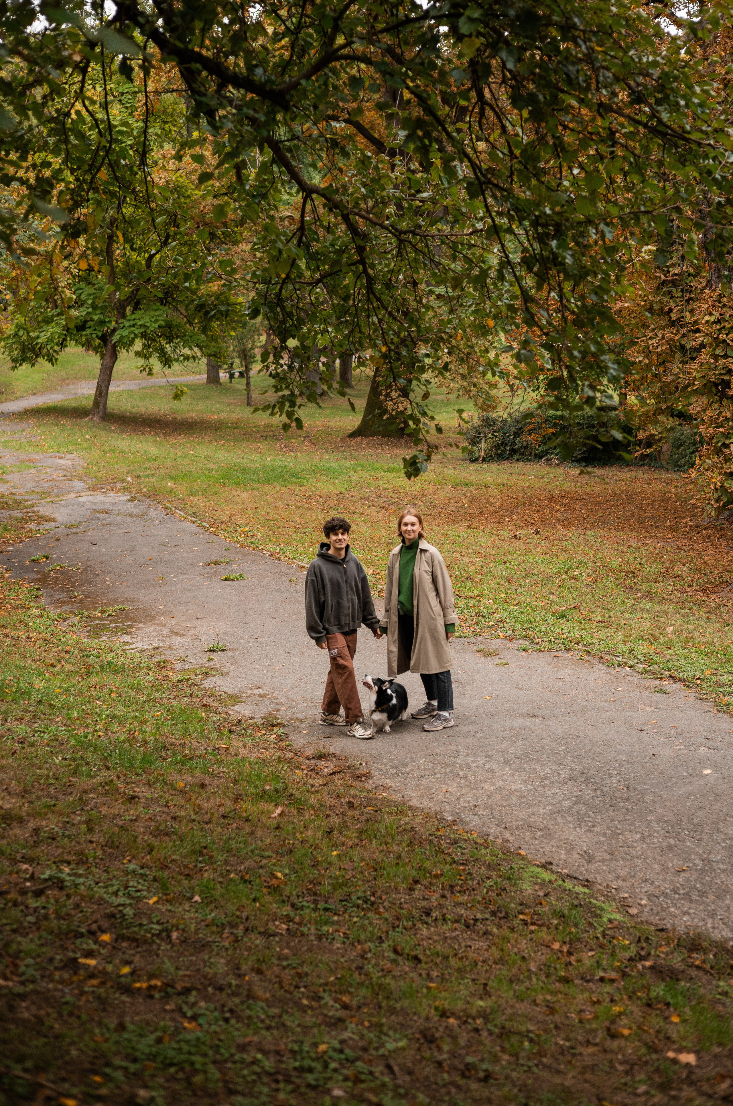 Даня, Аня и Плюша. Фотограф-анималист | Белград