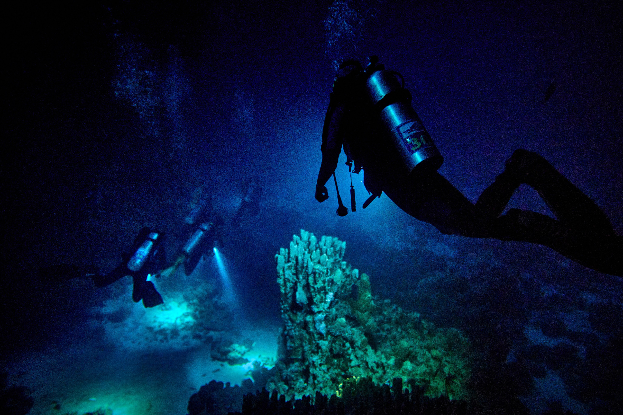 2023-11 - Diving Safari Deep South Egypt. Andriej Szypilow — Photography & Videography