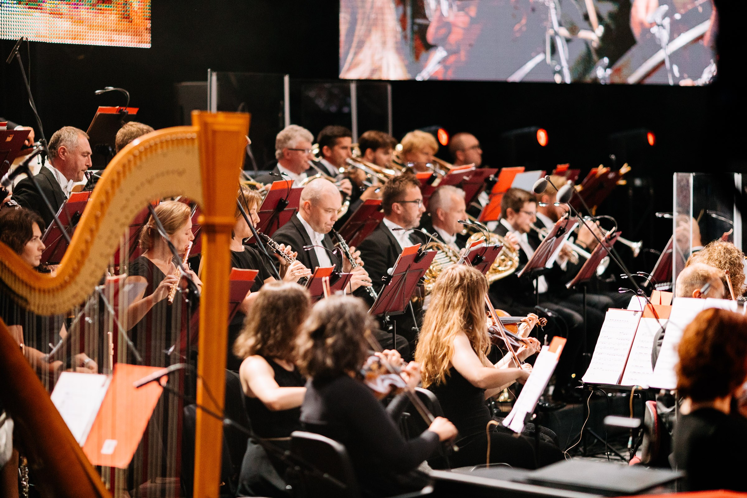 Opera Leśna Koncert. Fotograf Ślubny Warszawa - Sesje Biznesowe Rodzinne Eventy