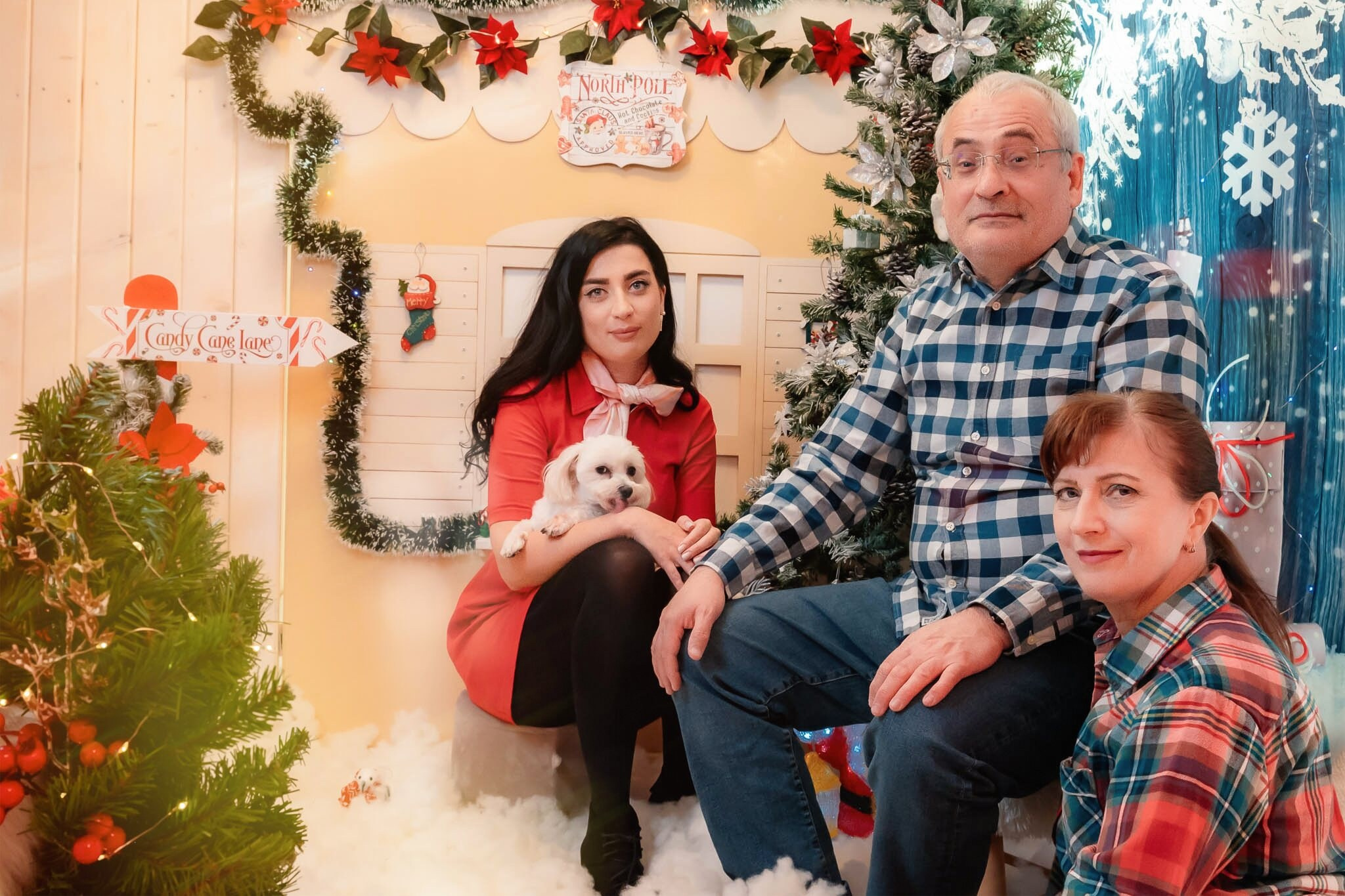 Sedinta Craciun Alexandrina