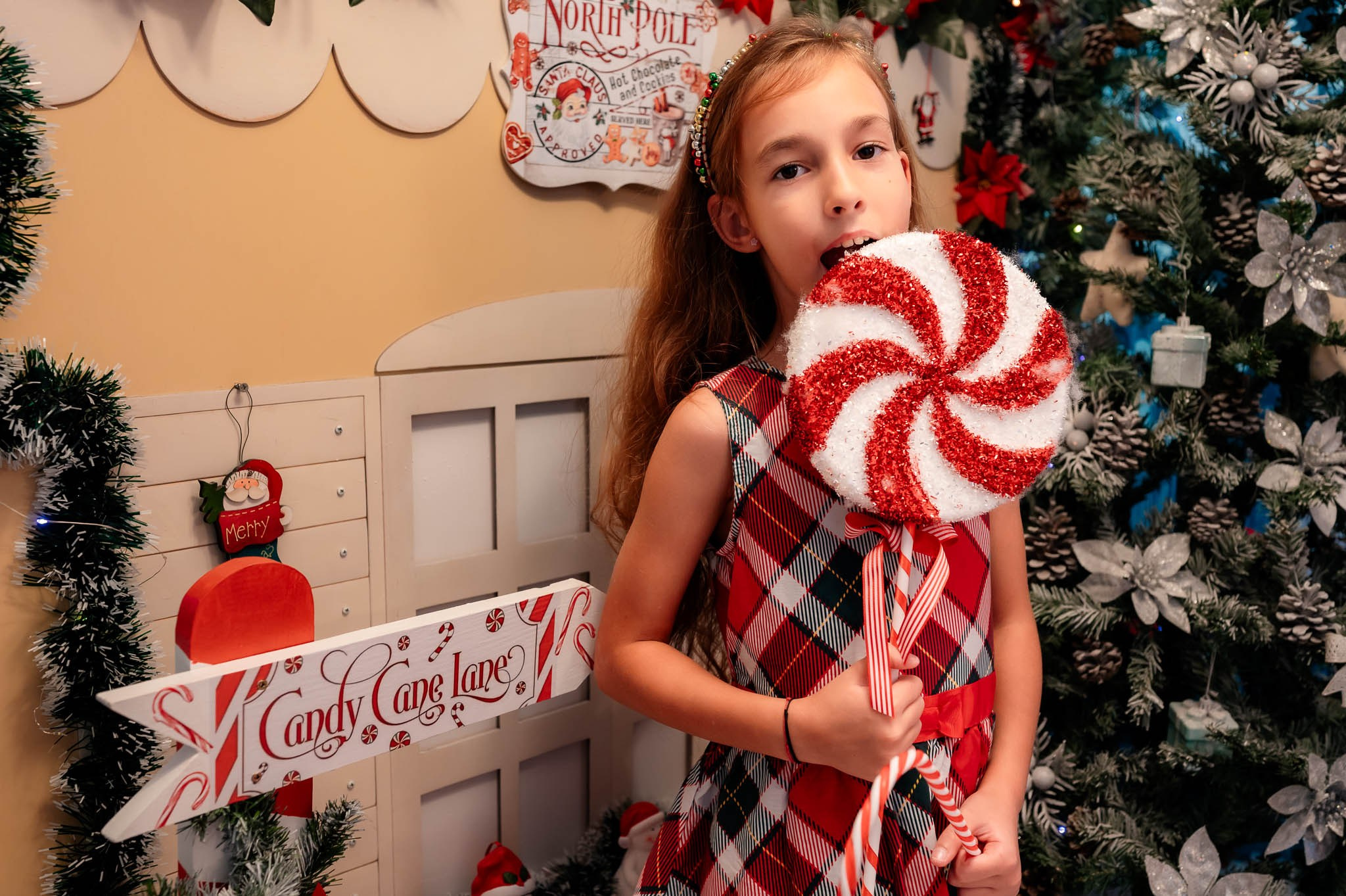 Sedinta Craciun Alina