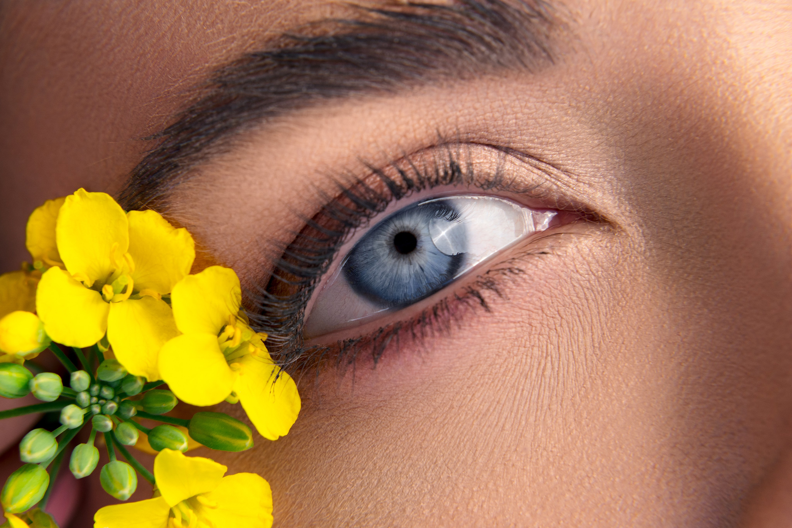 Beauty, Fashion and Glamour. Mehran Hadad — Portrait Photographer, Filmmaker and Youtuber