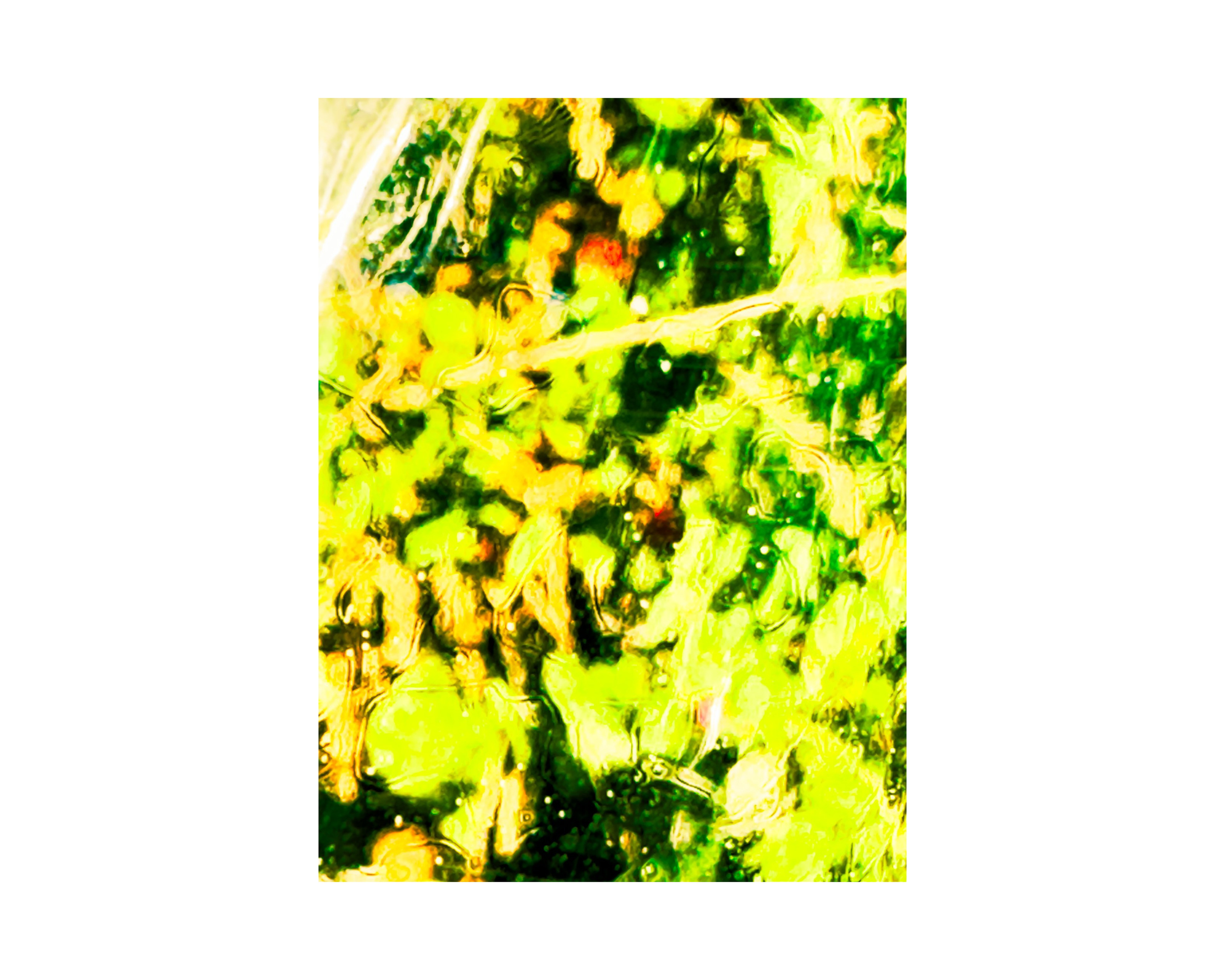 Abstract from Exaggerated Worlds. Ekaterina Tsurkina-Appina Photography Canada