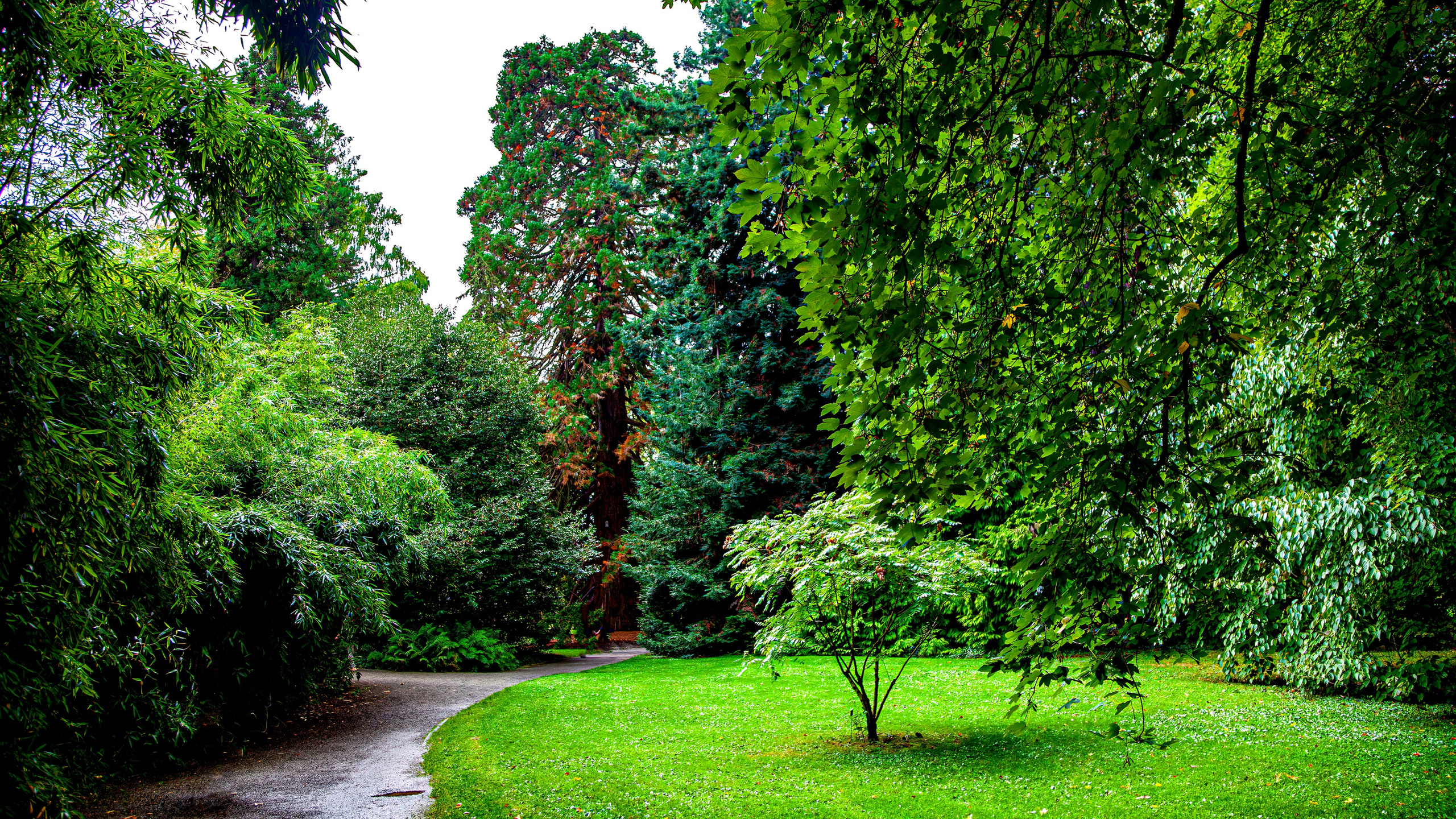 187.Mainau.Germany.24.9.2024. Путешествия в формате 360......