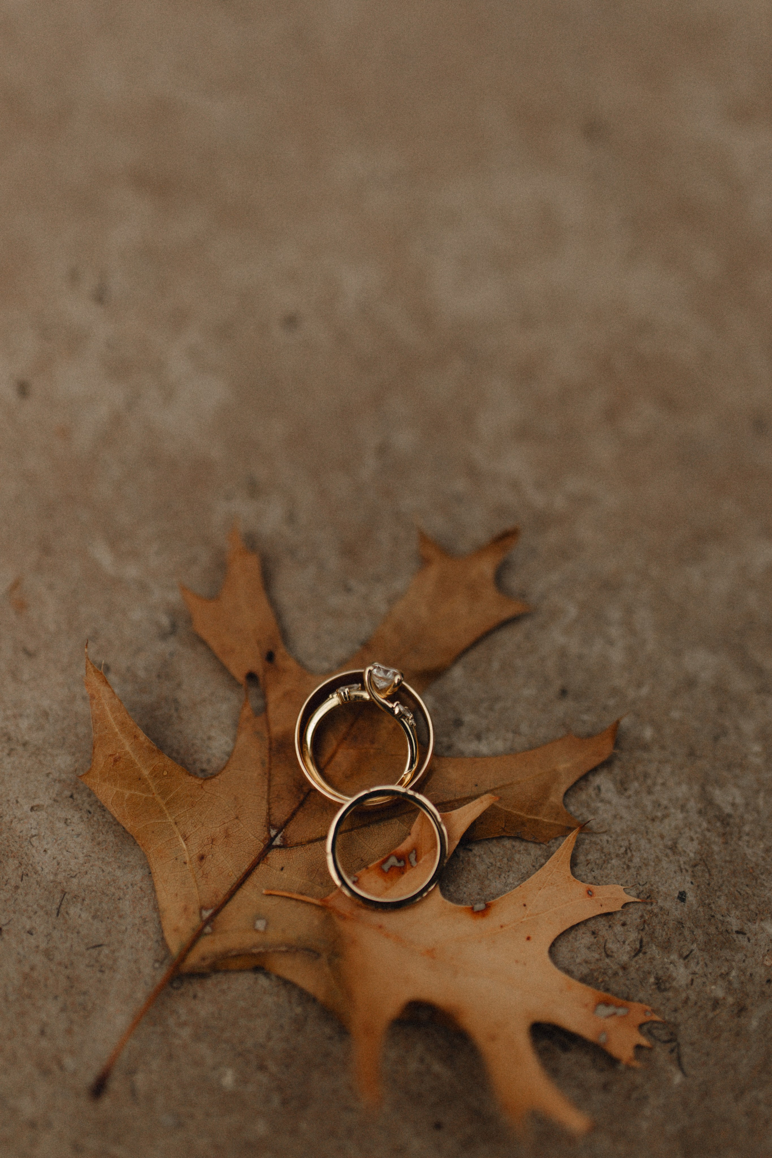 VLAD & EVGENIA. Photographer in Dallas