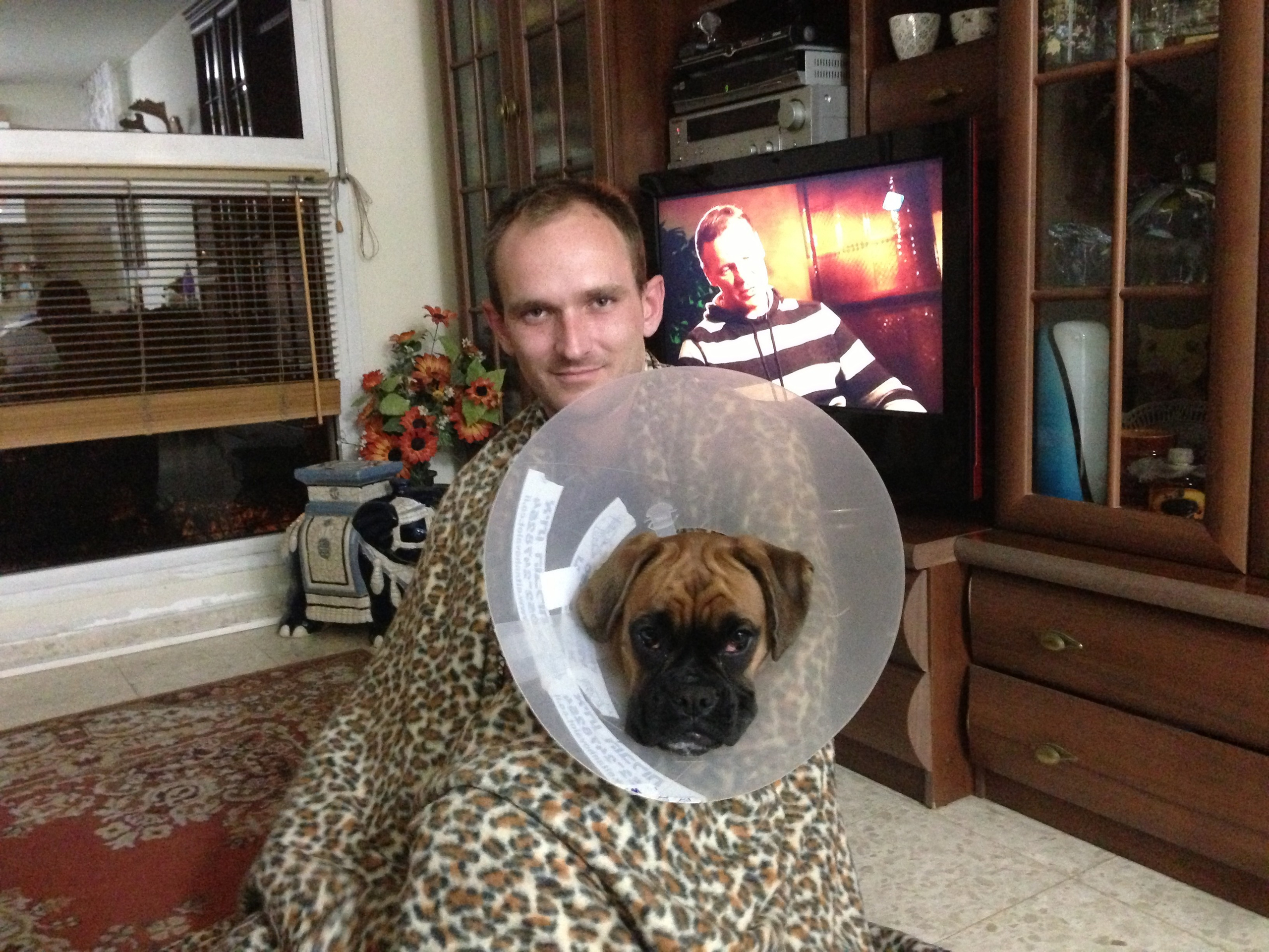 My ״Star״ Boxer Dog