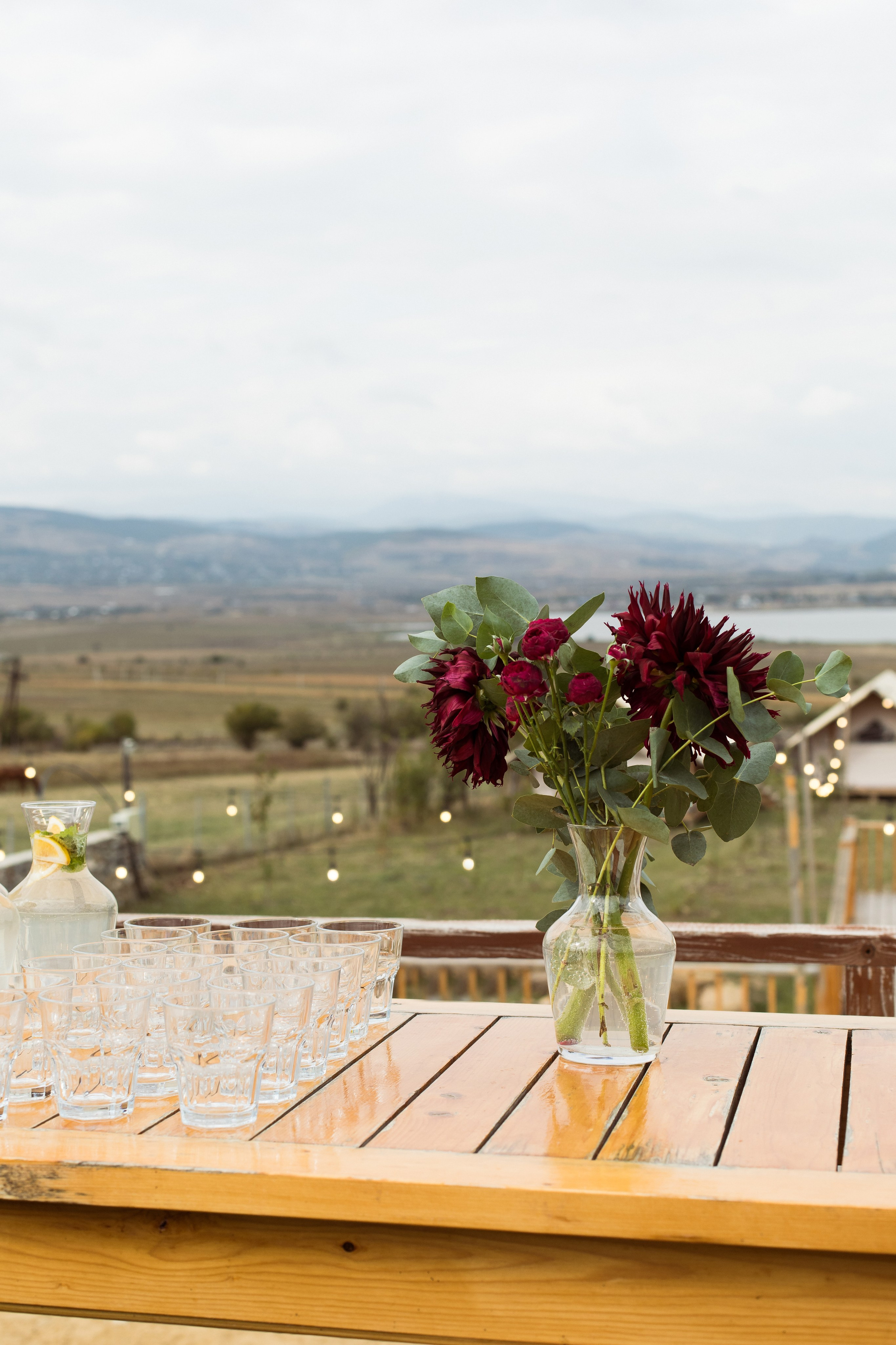 V & I. Wedding photographer in Georgia