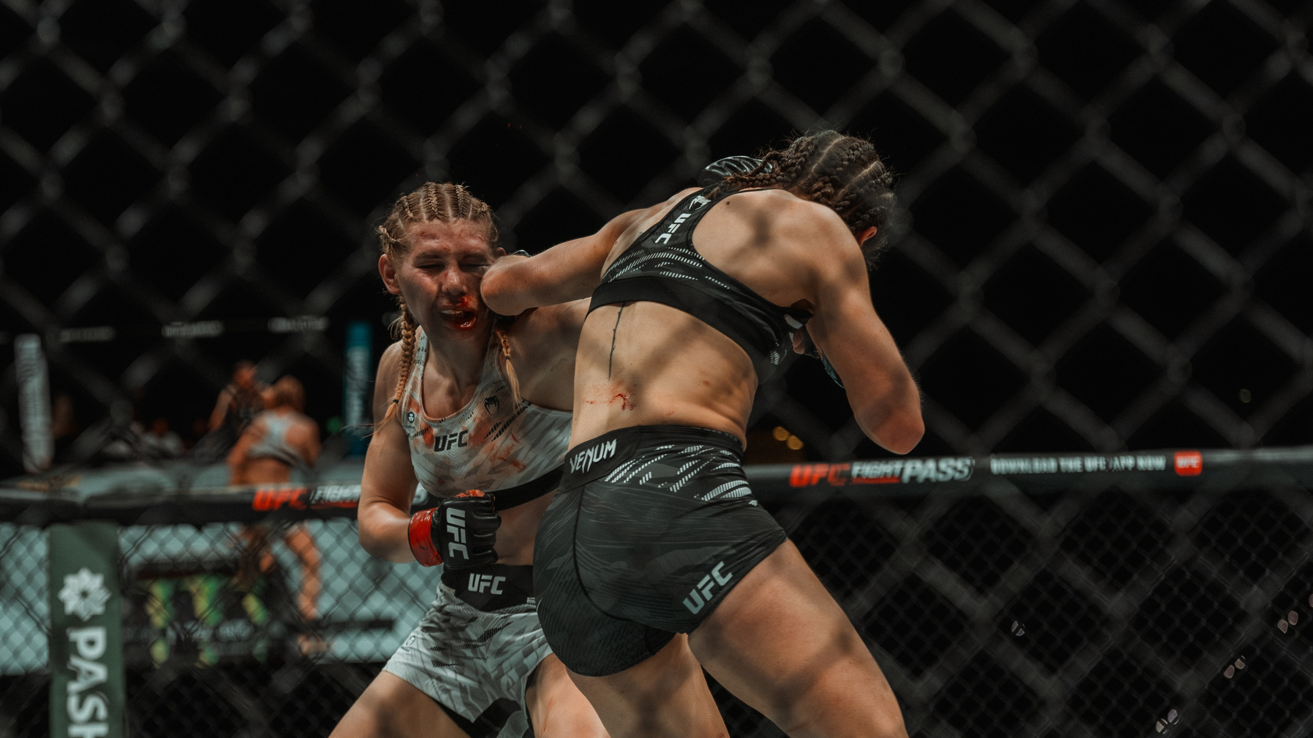 UFC. Commercial and Event photographer Eltaj