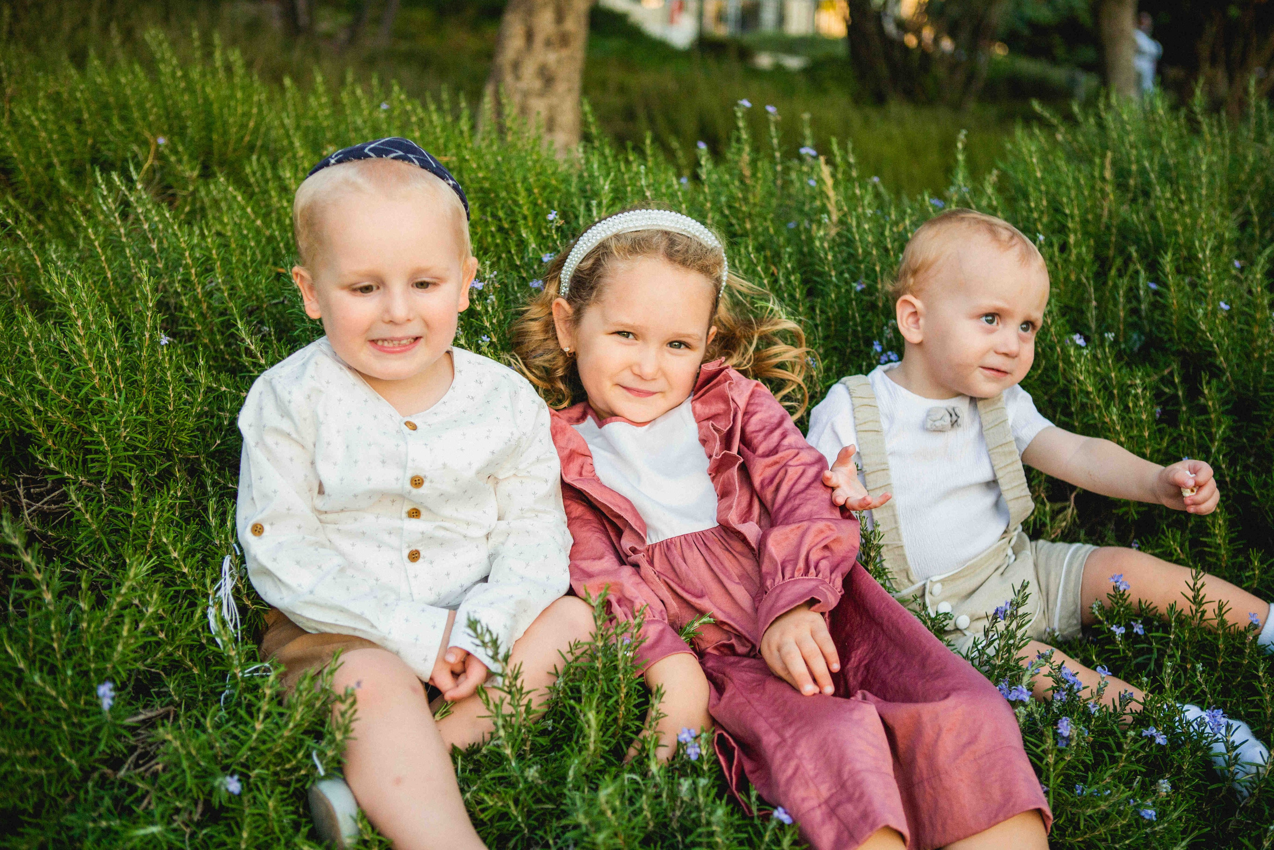 JERUSALEM CENTER. Https://shi-photo.com/