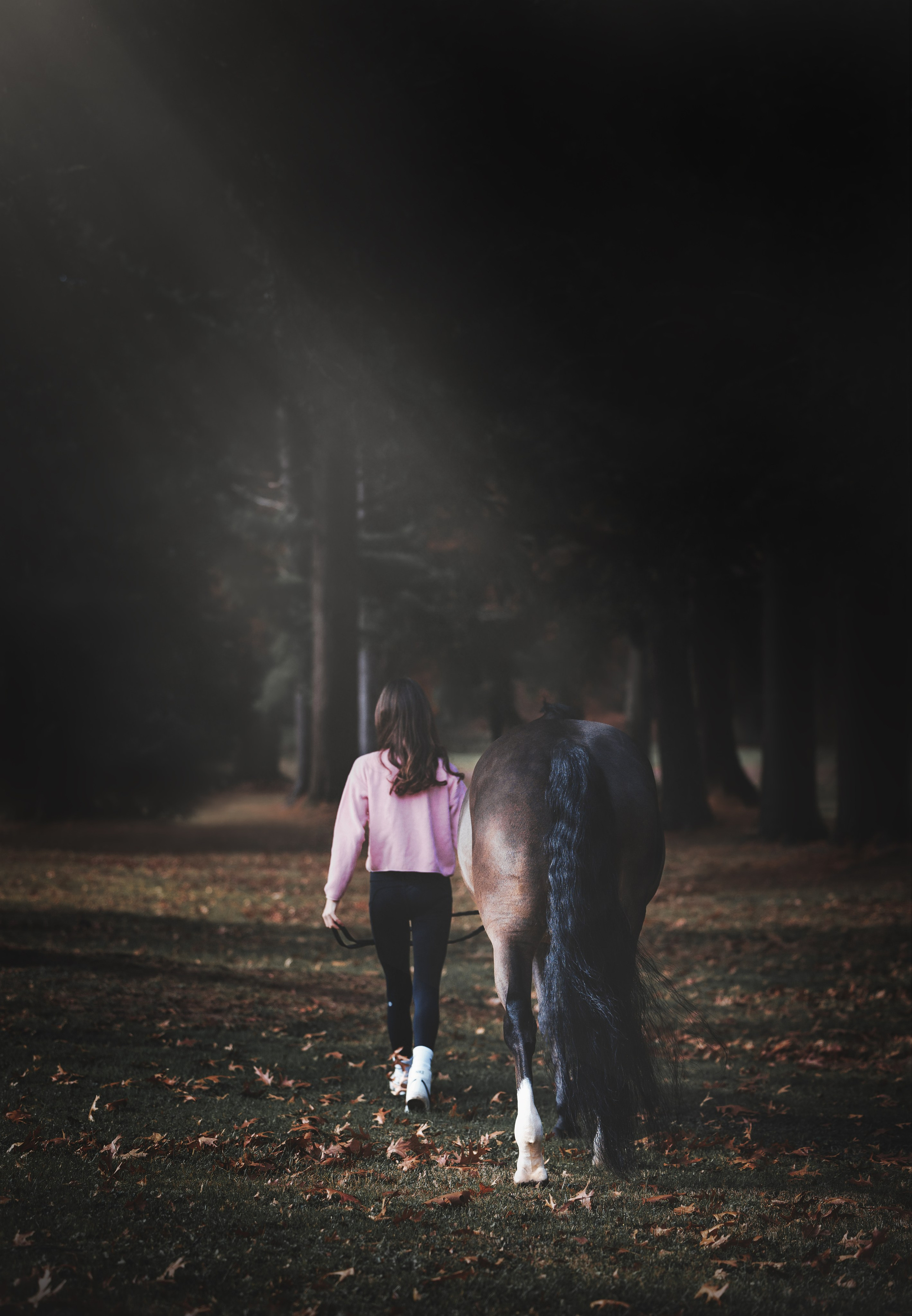 Whiskey & Ava. Pet Photographer Viktoriya Aleshenko