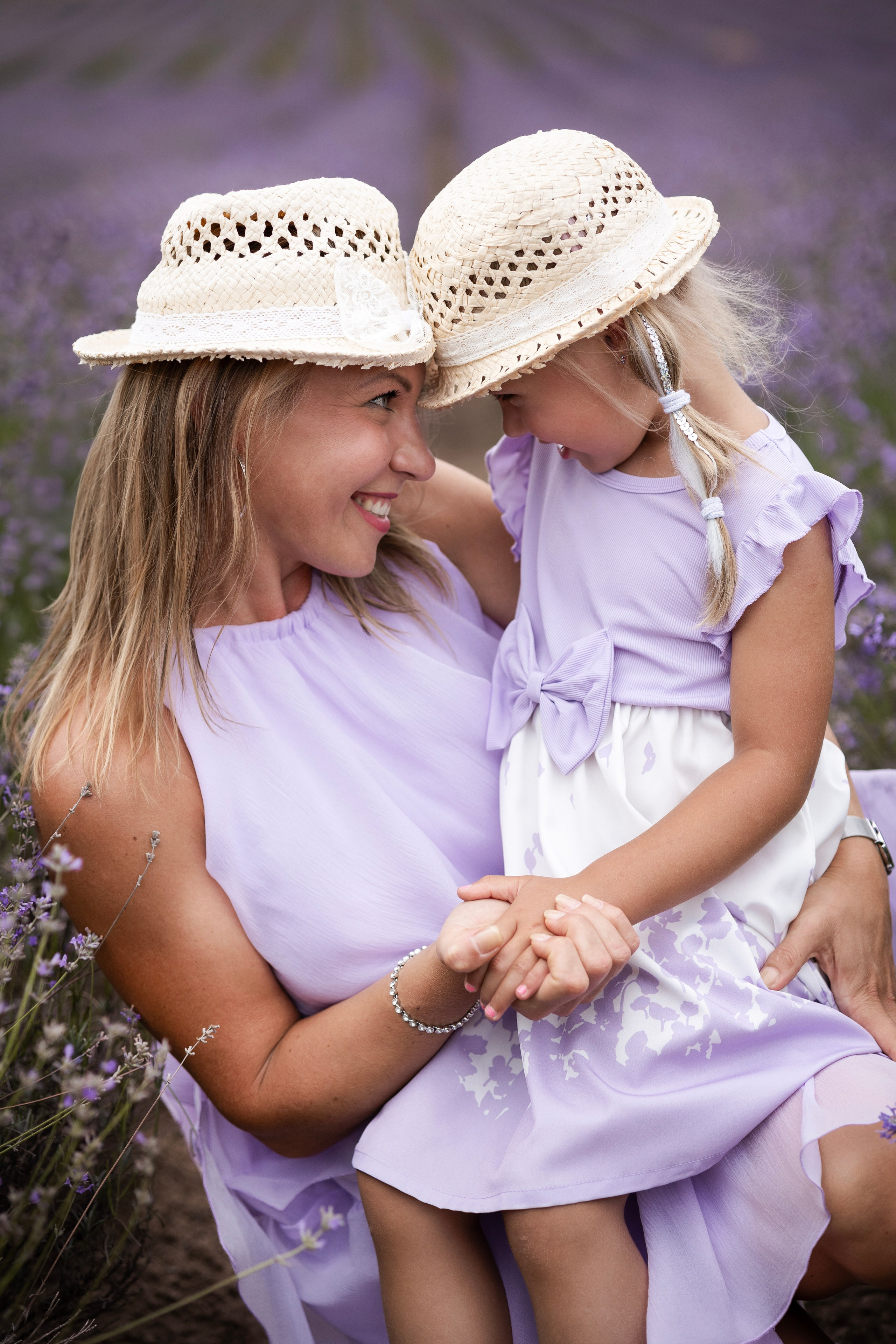 Lavendel. Photographer in Munich