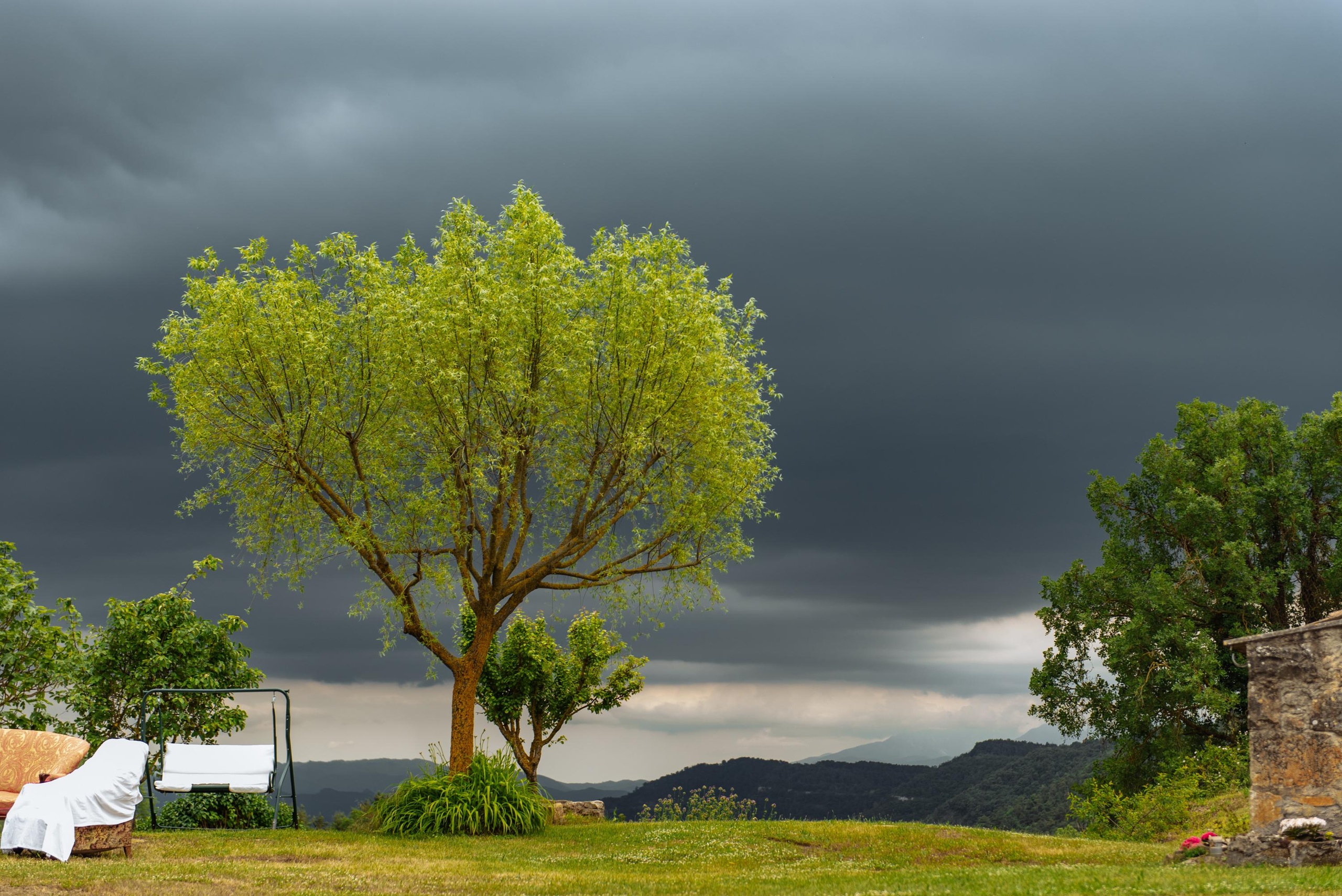 Carme Elisabet & Alexandre. Fotógrafa Ekaterina Gasanova - sesiones de fotos en Barcelona
