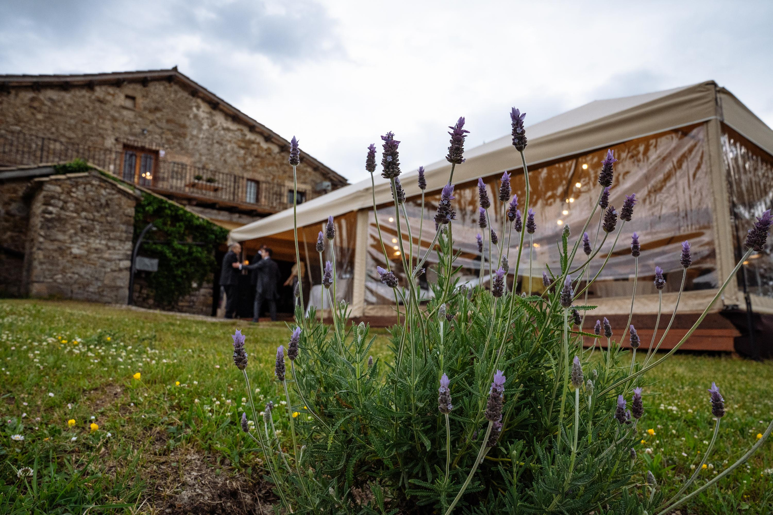 Carme Elisabet & Alexandre. Fotógrafa Ekaterina Gasanova - sesiones de fotos en Barcelona