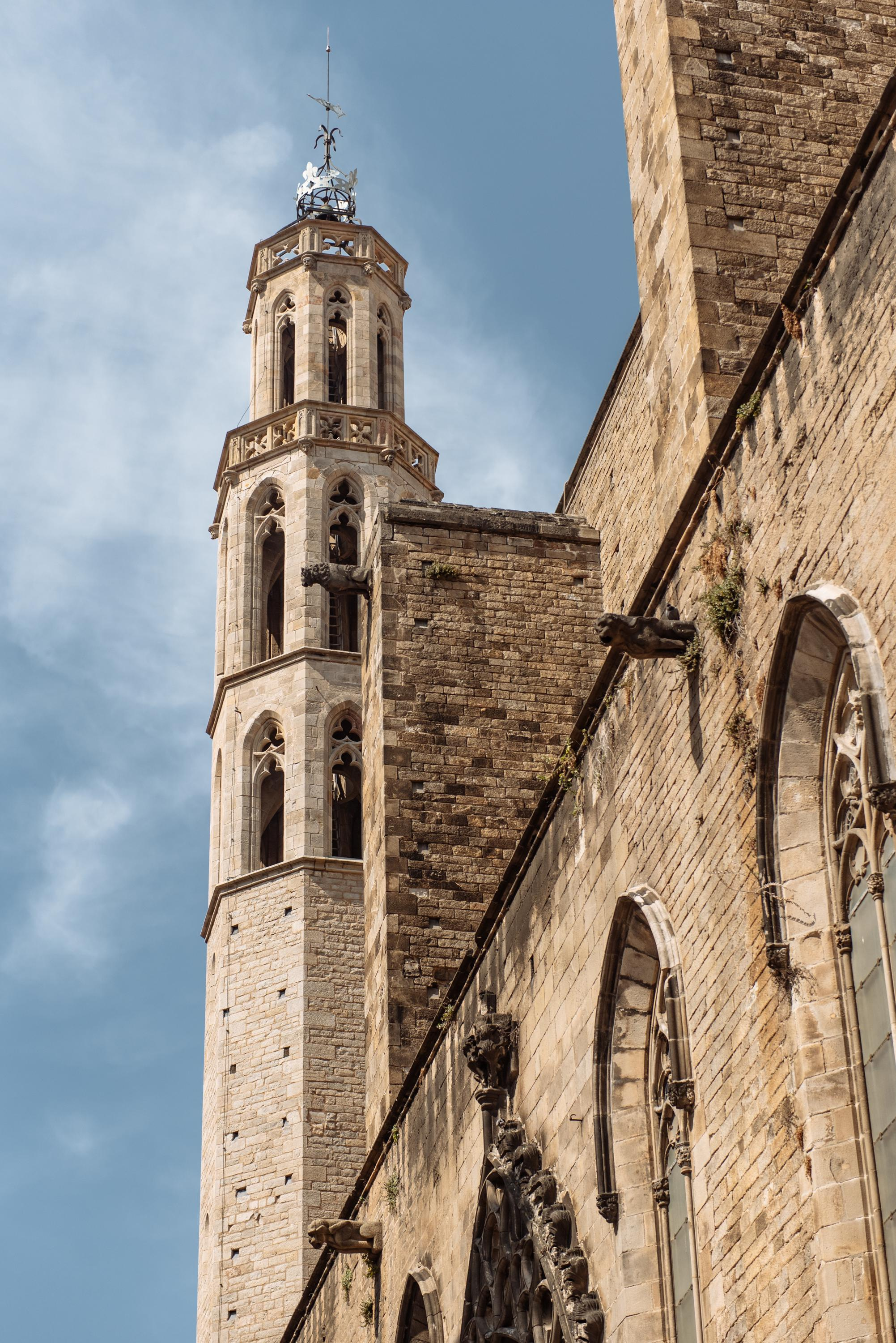 Carme Elisabet & Alexandre. Fotógrafa Ekaterina Gasanova - sesiones de fotos en Barcelona