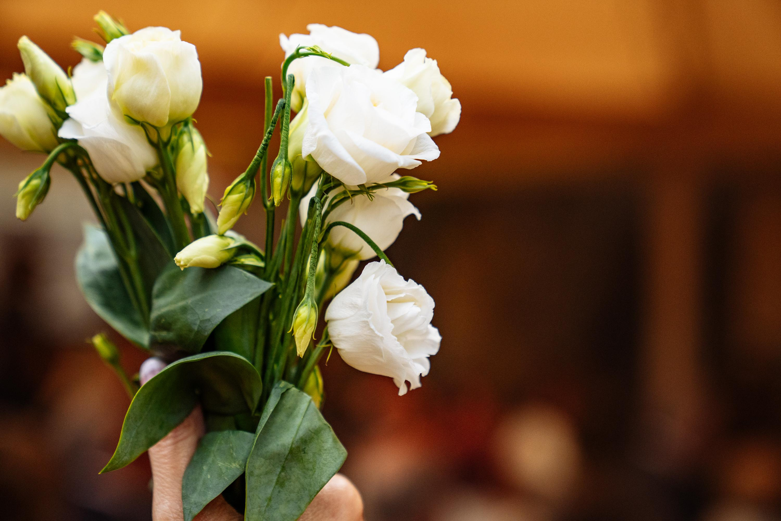 Carme Elisabet & Alexandre. Fotógrafa Ekaterina Gasanova - sesiones de fotos en Barcelona