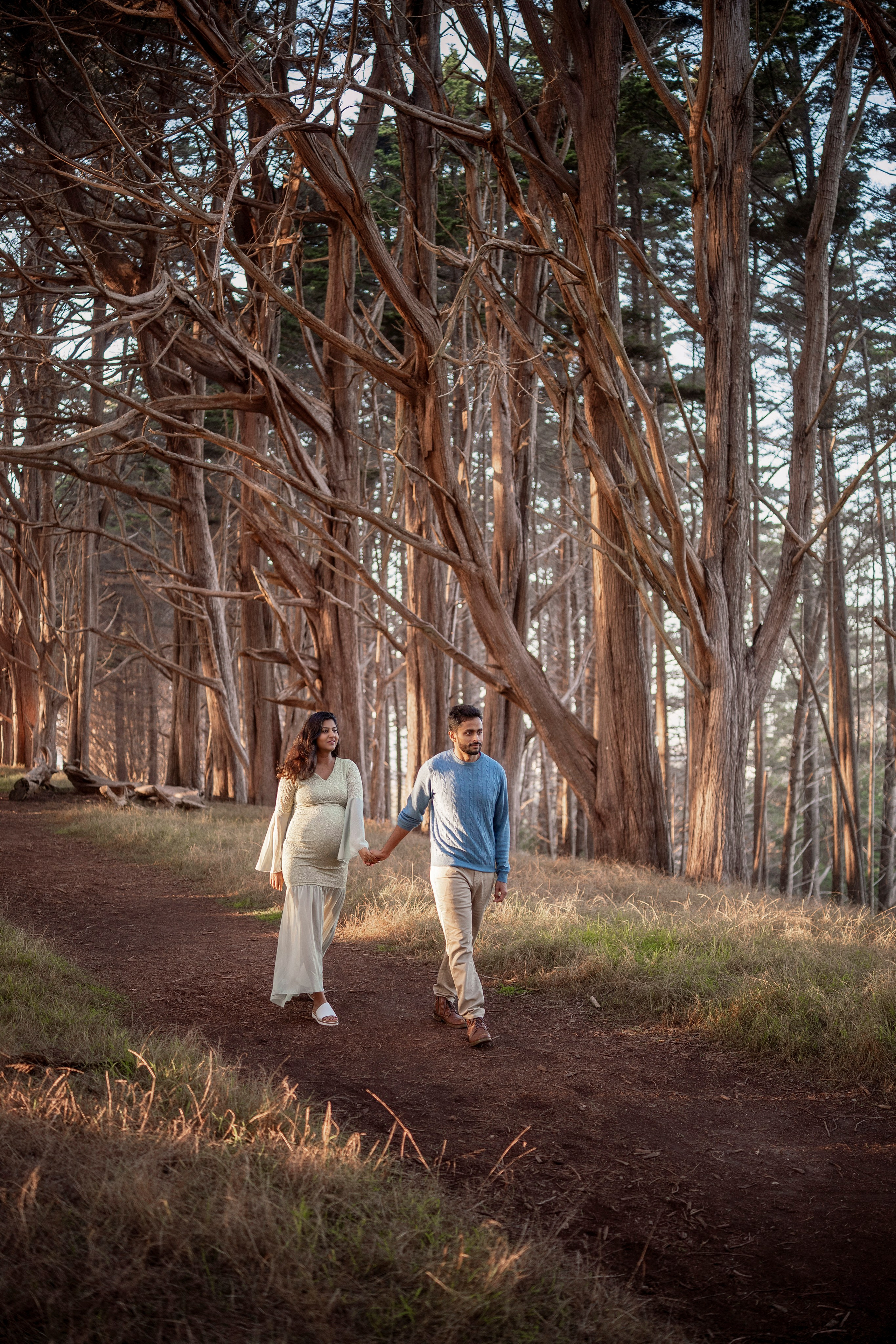 Forest. Bay Area Photographer: family, maternity, love story, wedding