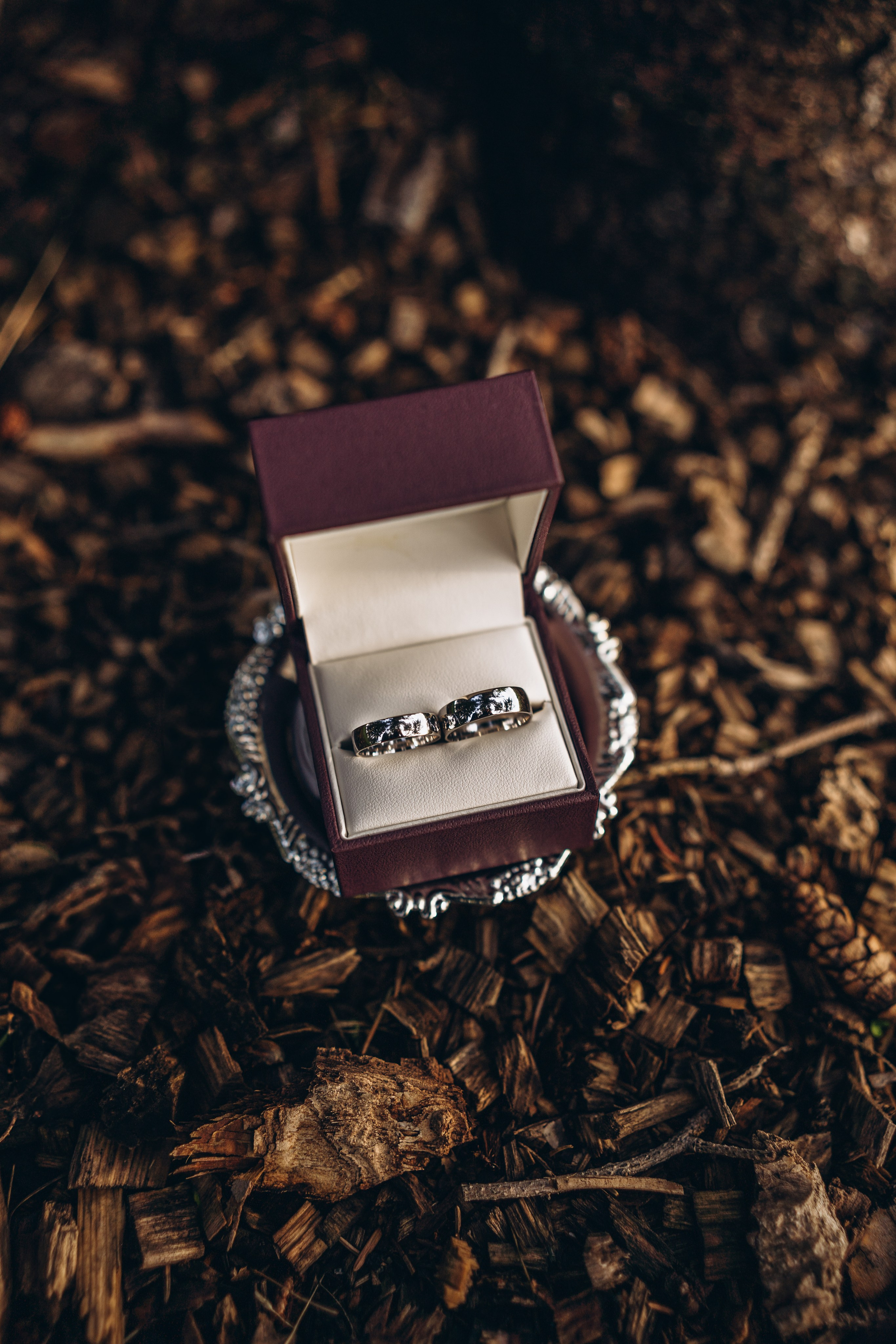 Olena & Danylo. Calgary Wedding & Lifestyle Photographer — Yevhen Polishchuk