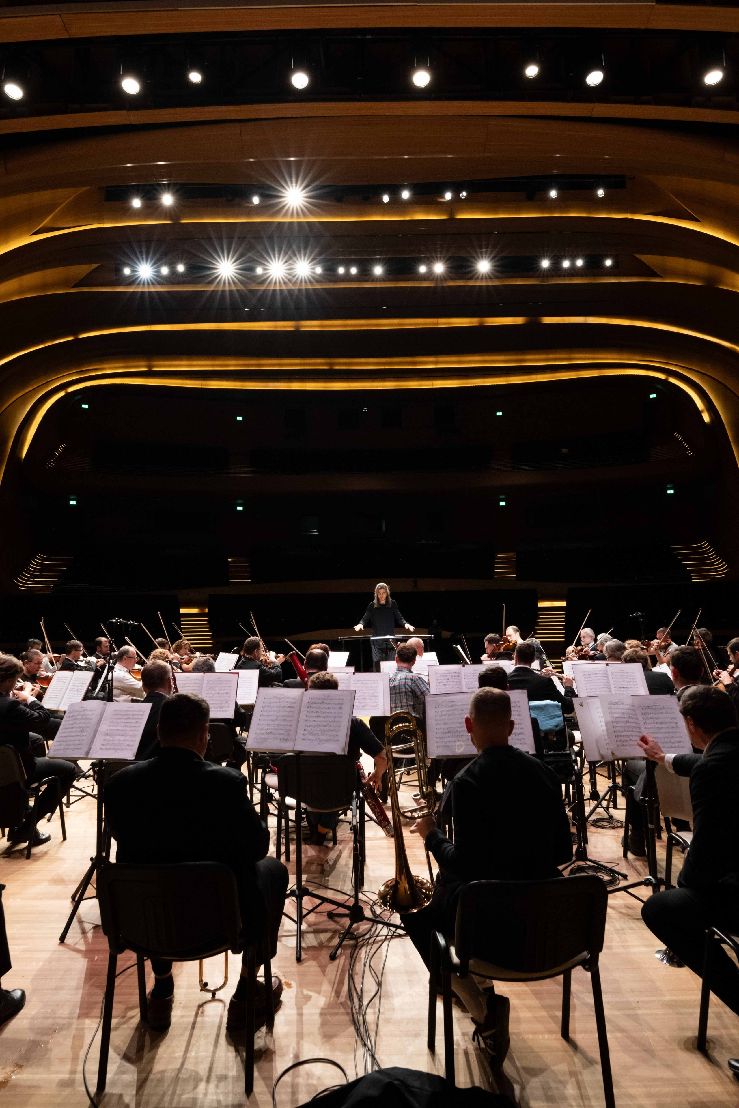 The Tchaikovsky Academic Grand Symphony Orchestra in Baku. Wedding&Event photographer Ismail Rzayev in Baku