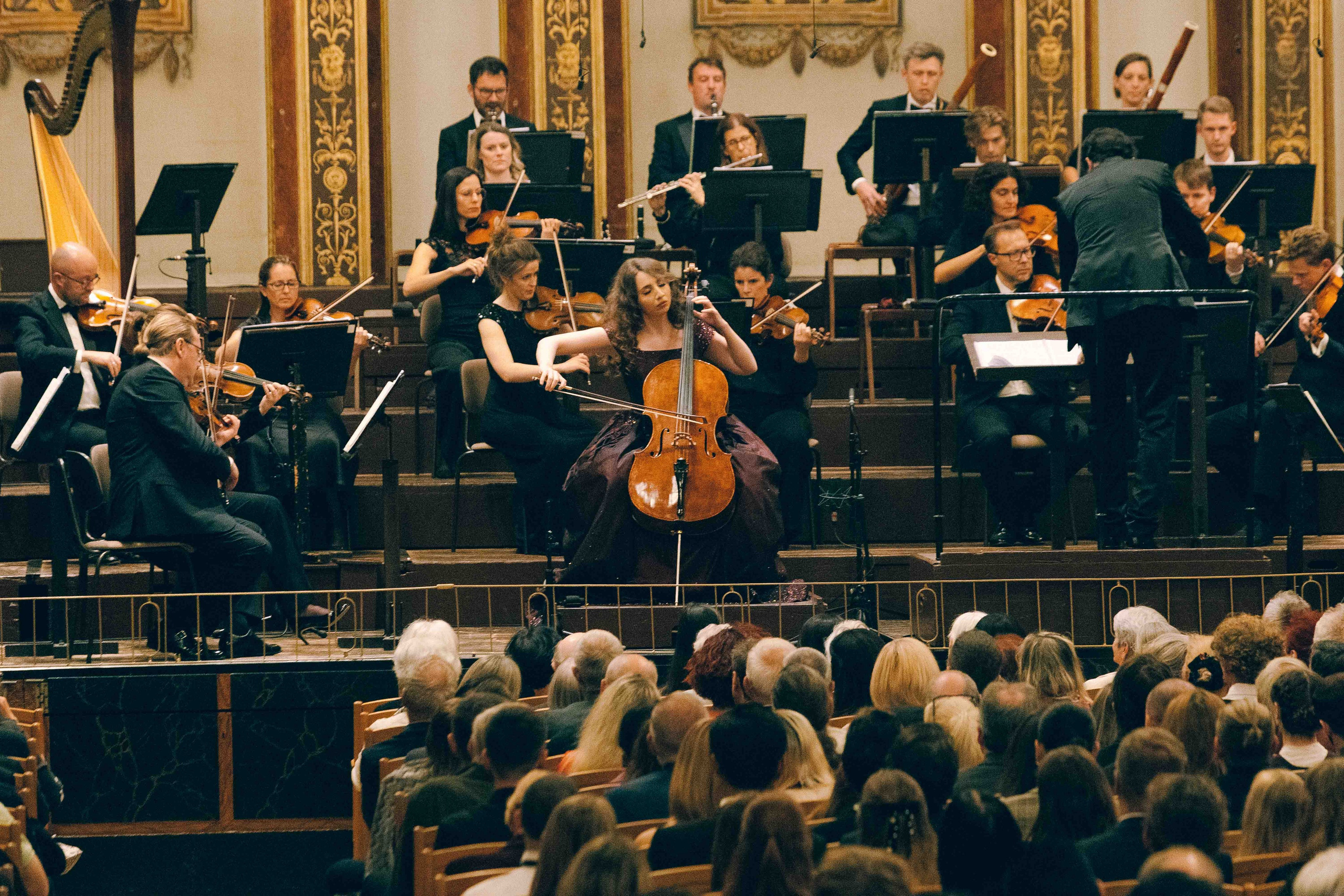 MUSIKVEREIN (VIENNA). Wedding&Event photographer Ismail Rzayev in Baku