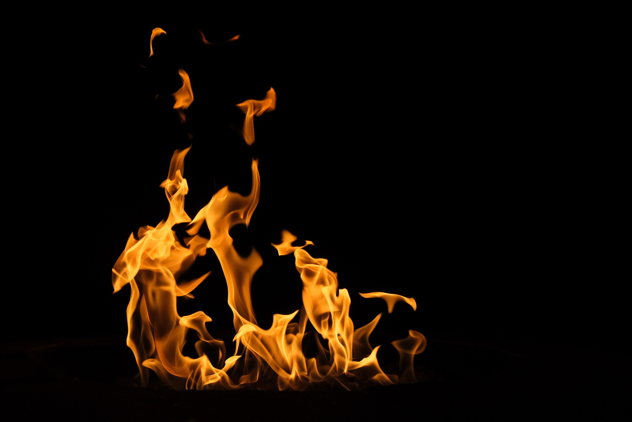 VATRA. Reportage concert portrait photography in the San Francisco Bay Area